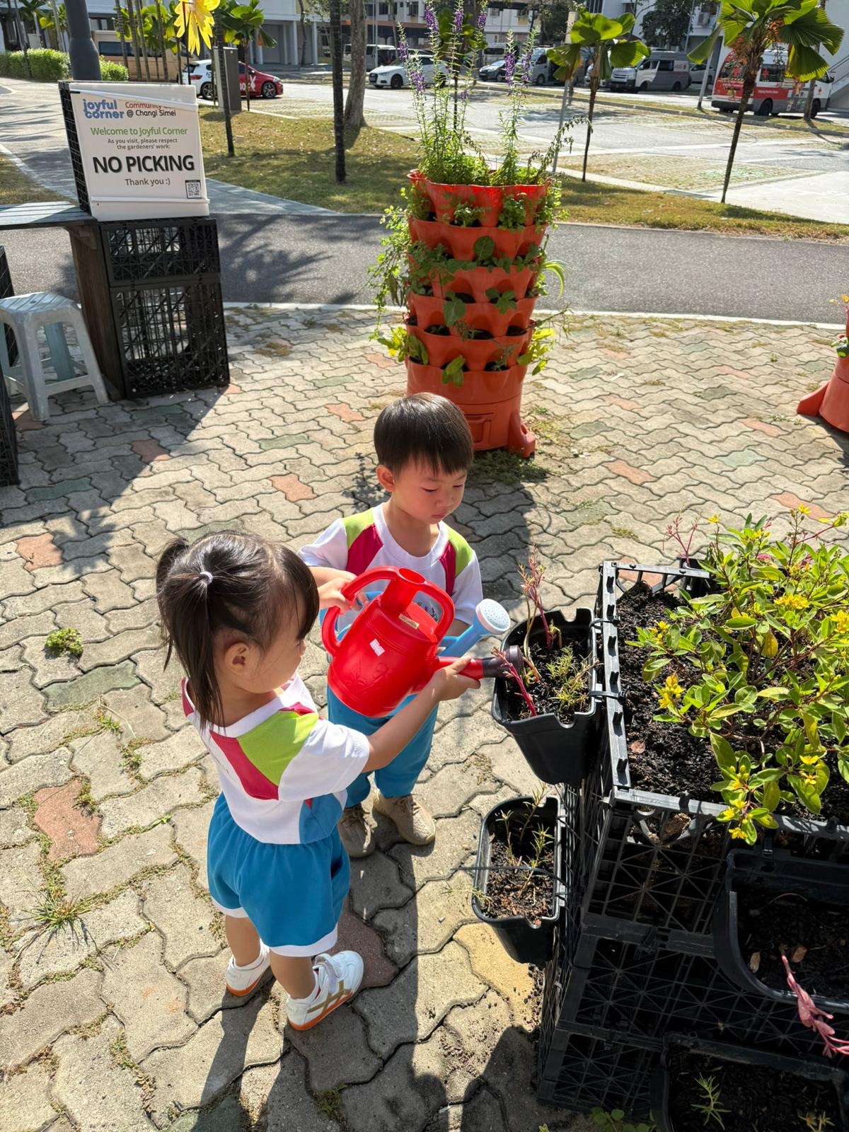 Caring for Our Community Garden – Growing Through Daily Responsibilities (On-Going) — photo 3