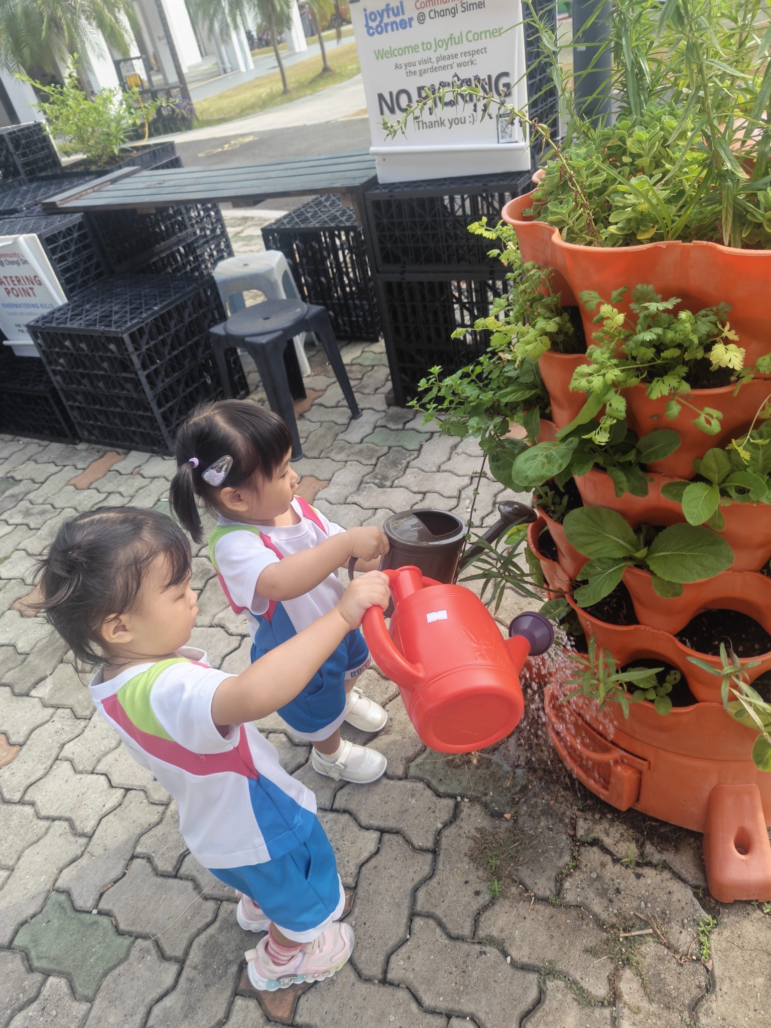 Caring for Our Community Garden – Growing Through Daily Responsibilities (On-Going) — photo 1