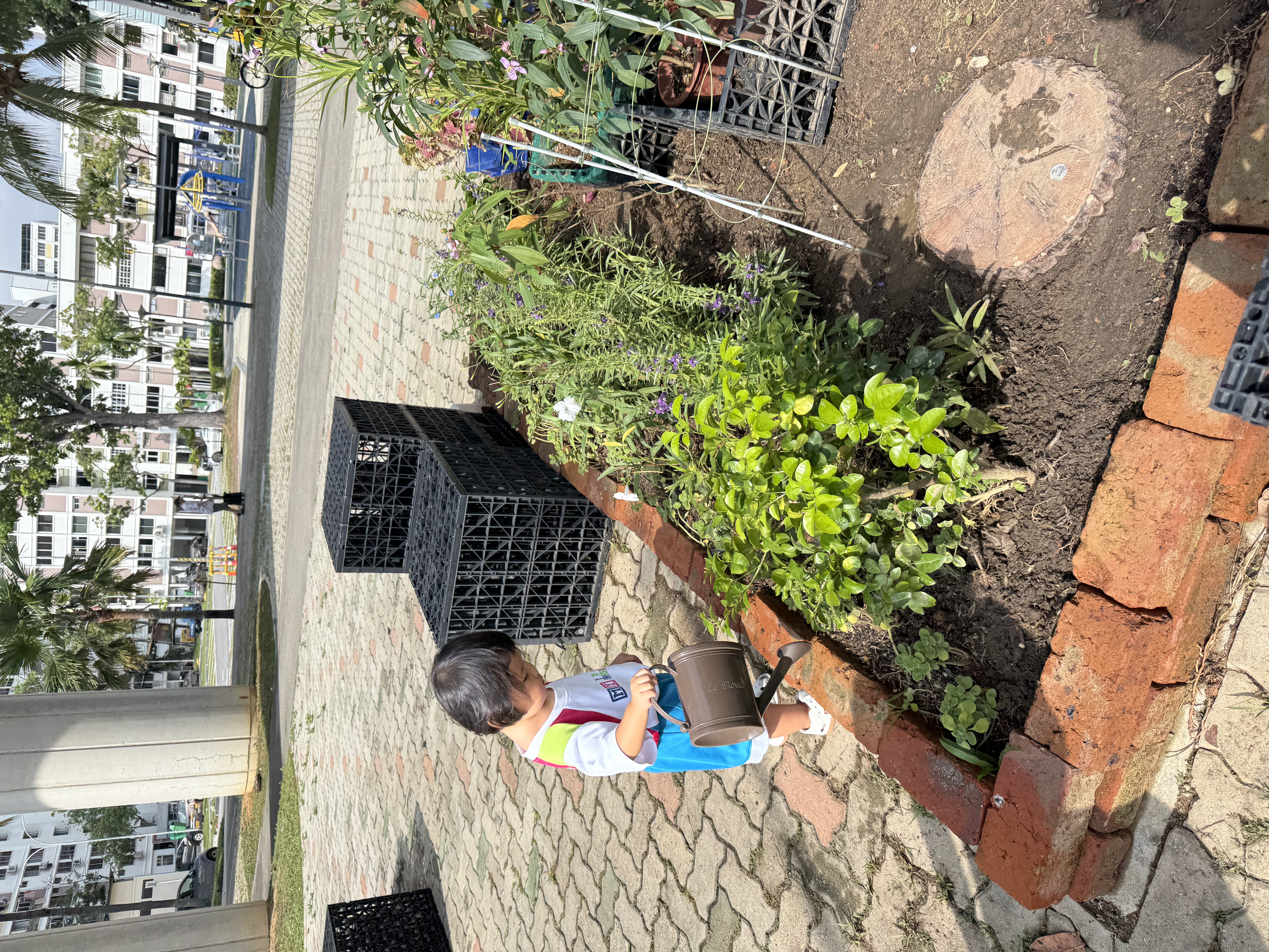 Caring for Our Community Garden – Growing Through Daily Responsibilities (On-Going) — photo 2