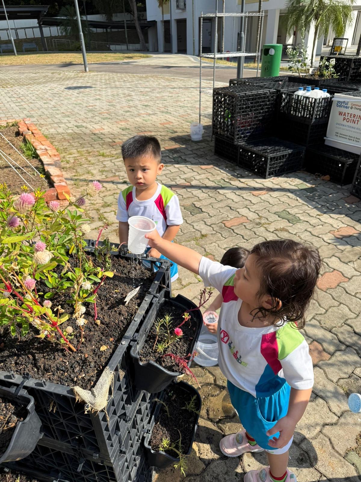 Caring for Our Community Garden – Growing Through Daily Responsibilities (On-Going) — photo 3