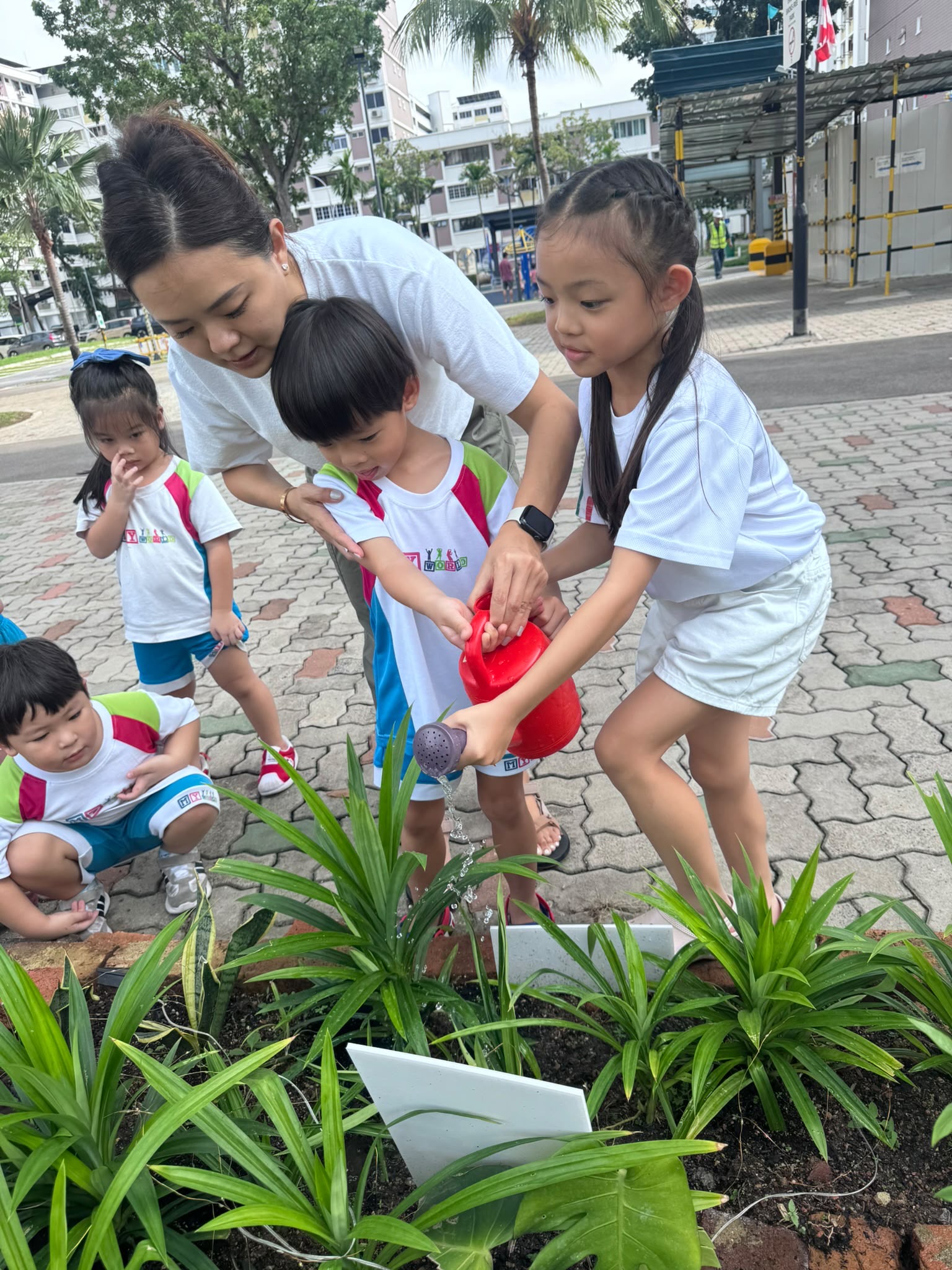 Caring for Our Community Garden – Growing Through Daily Responsibilities (On-Going) — photo 1