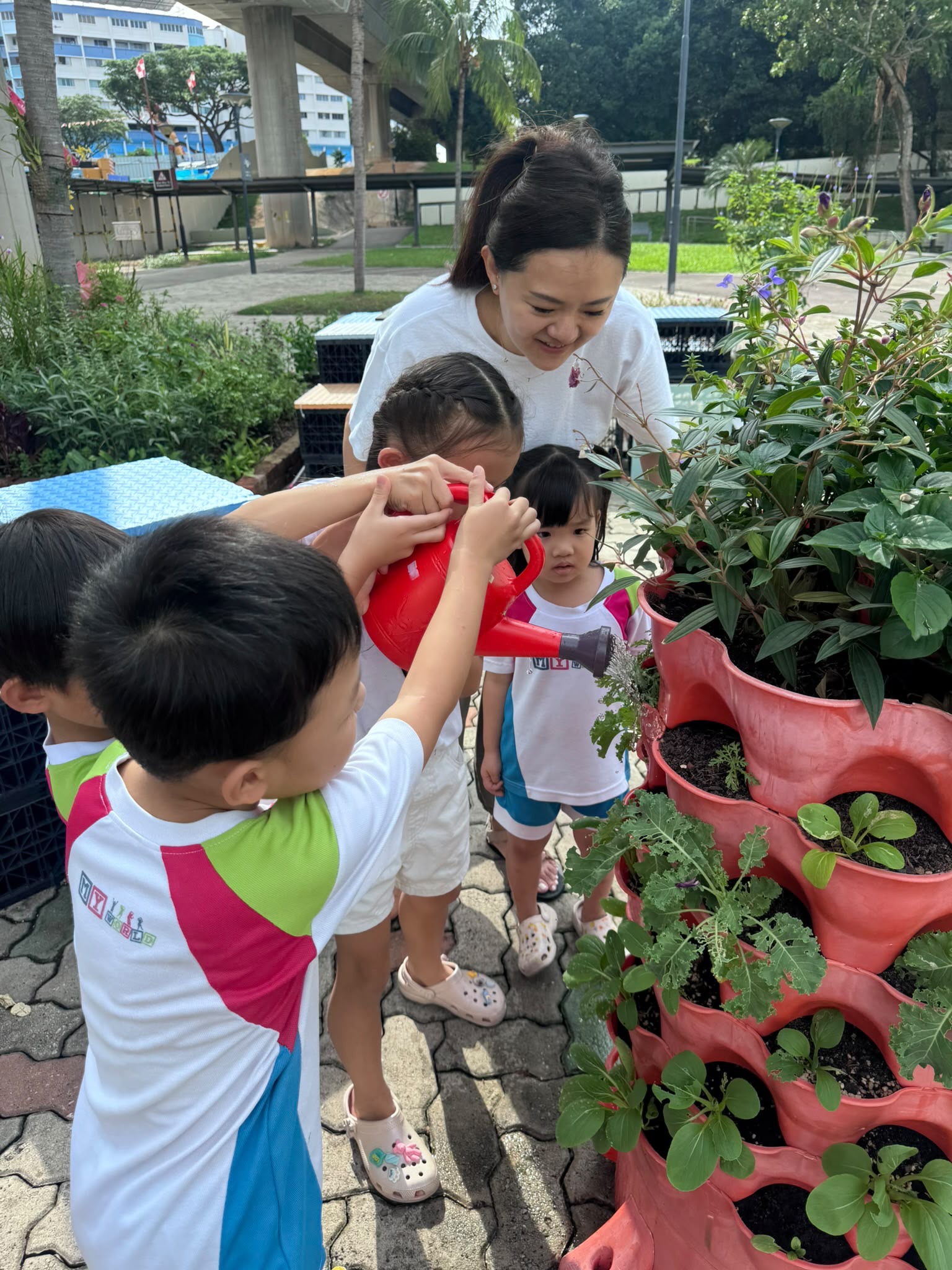 Caring for Our Community Garden – Growing Through Daily Responsibilities (On-Going) — photo 2