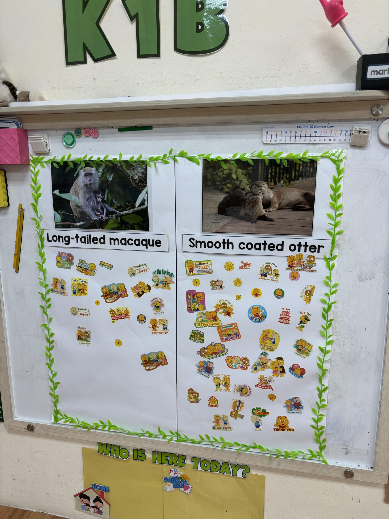 Sharing Our World With Otters — photo 3