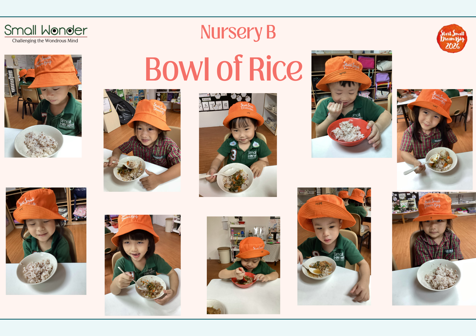 A Bowl of Rice