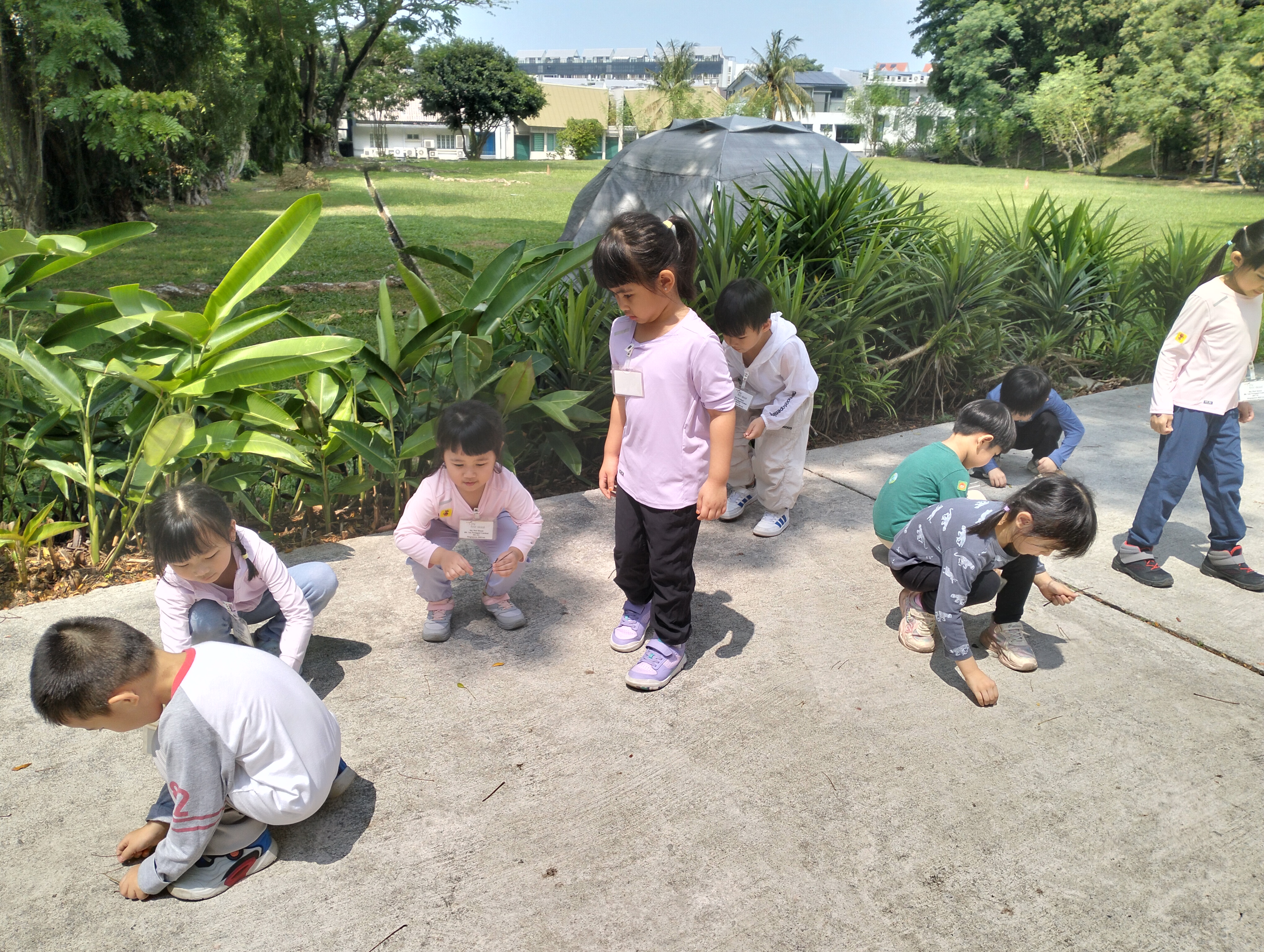 My First Skool Blk 166 Punggol Central - Humanitarian Trail — photo 47