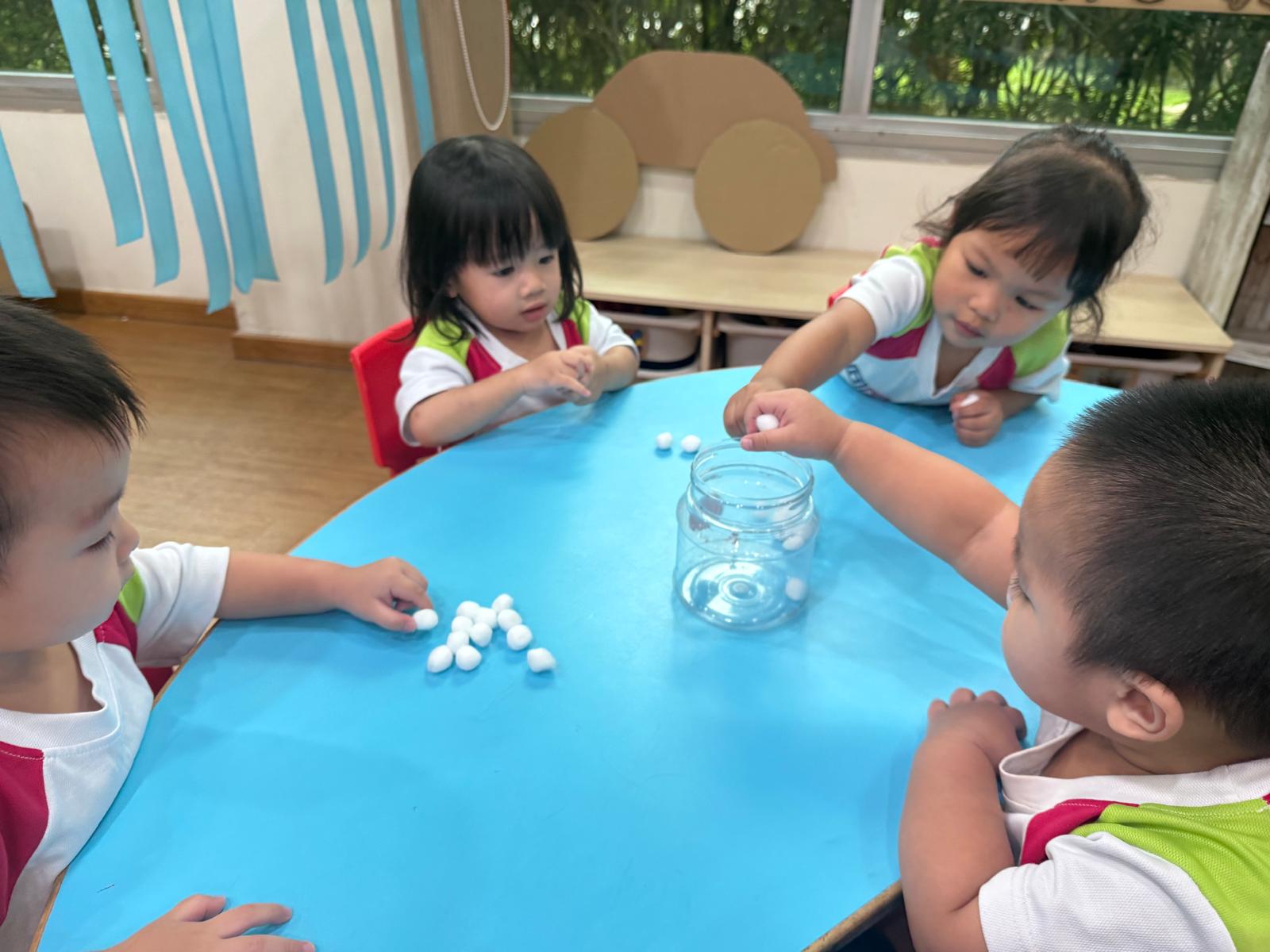 From the classroom to the school garden