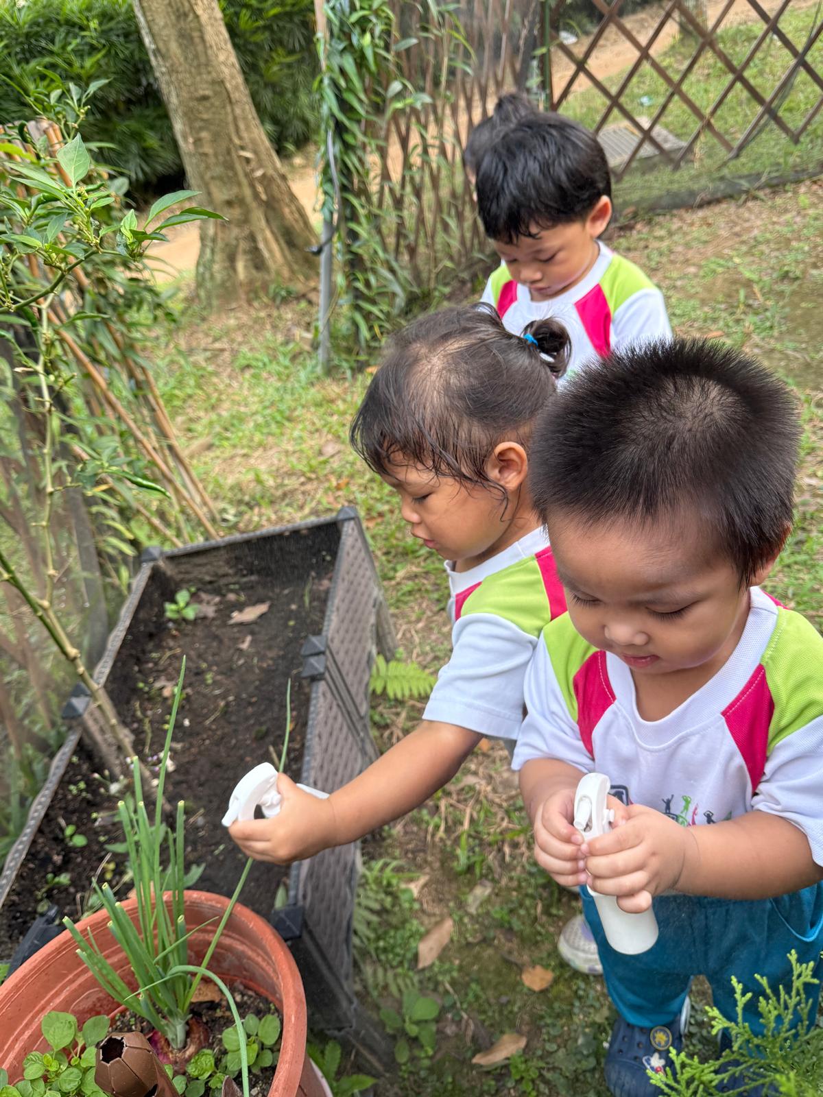 From the classroom to the school garden — photo 3