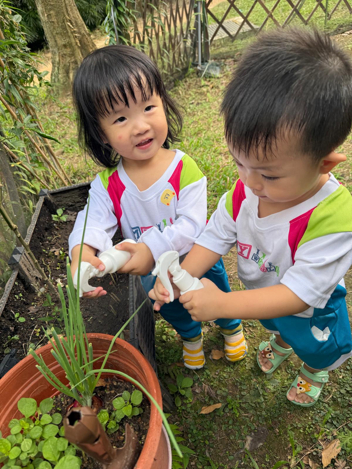 From the classroom to the school garden — photo 4