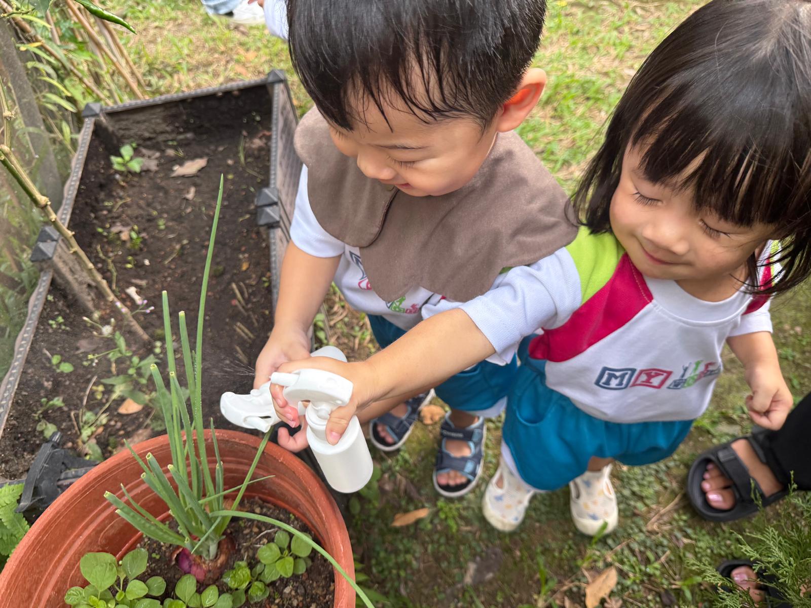 From the classroom to the school garden — photo 5