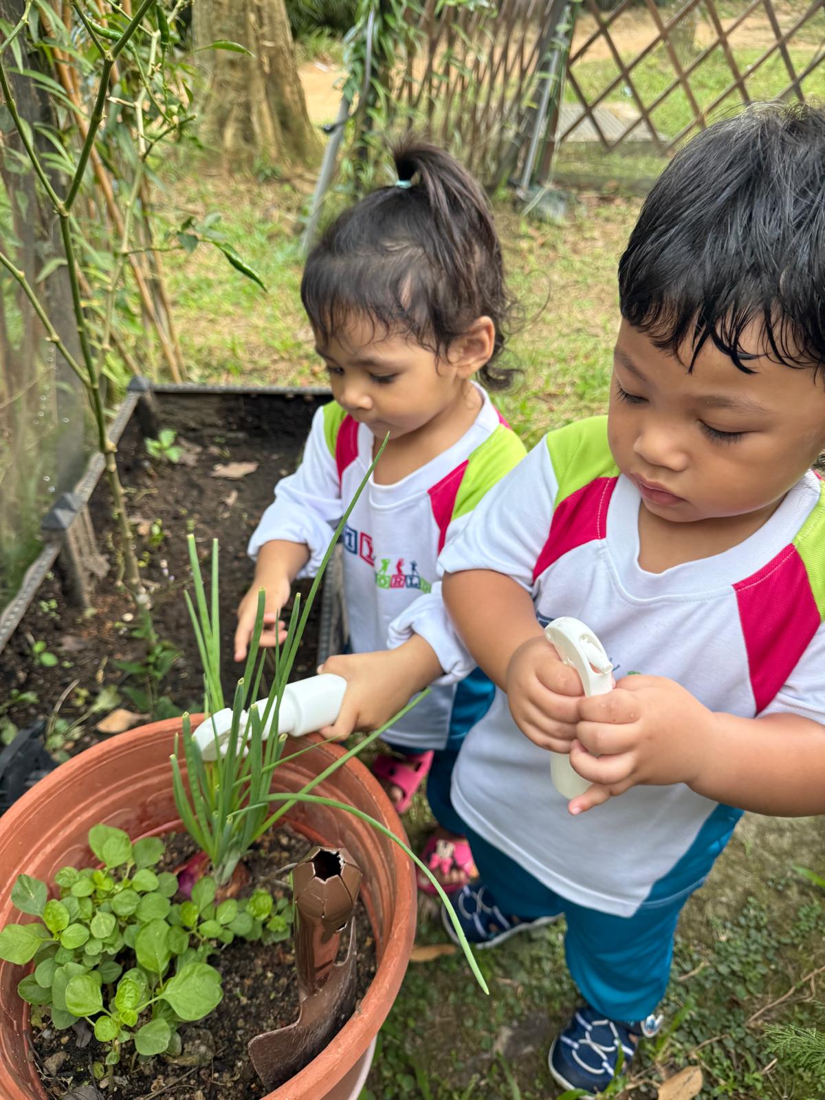 From the classroom to the school garden — photo 6