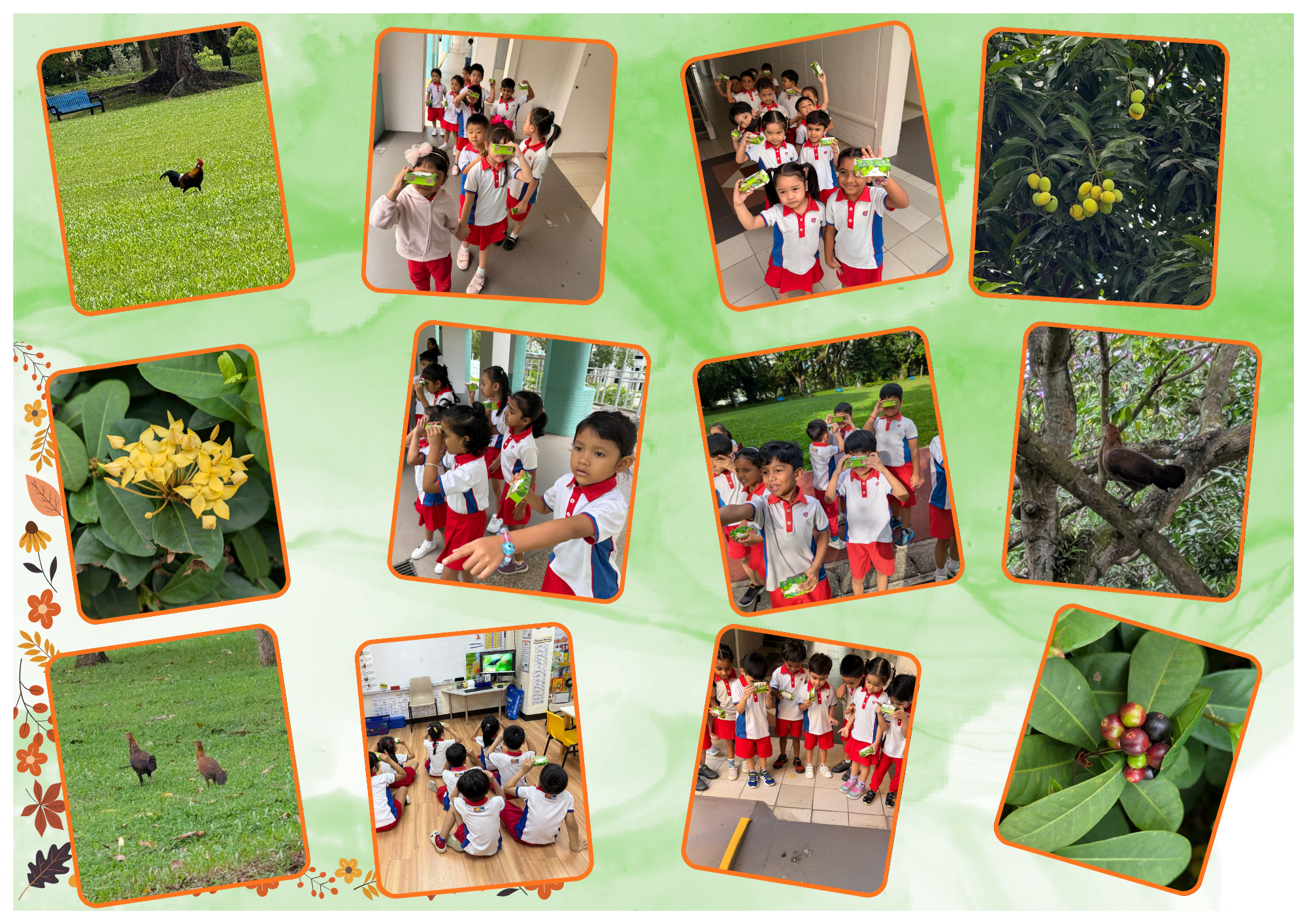 Biodiversity Week