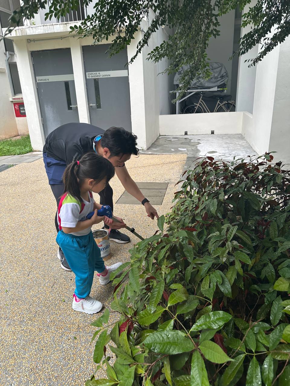 Weekly Recycling Drive and Litter-Picking Session — photo 6