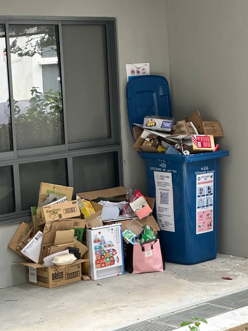 Weekly Recycling Drive and Litter-Picking Session — photo 3