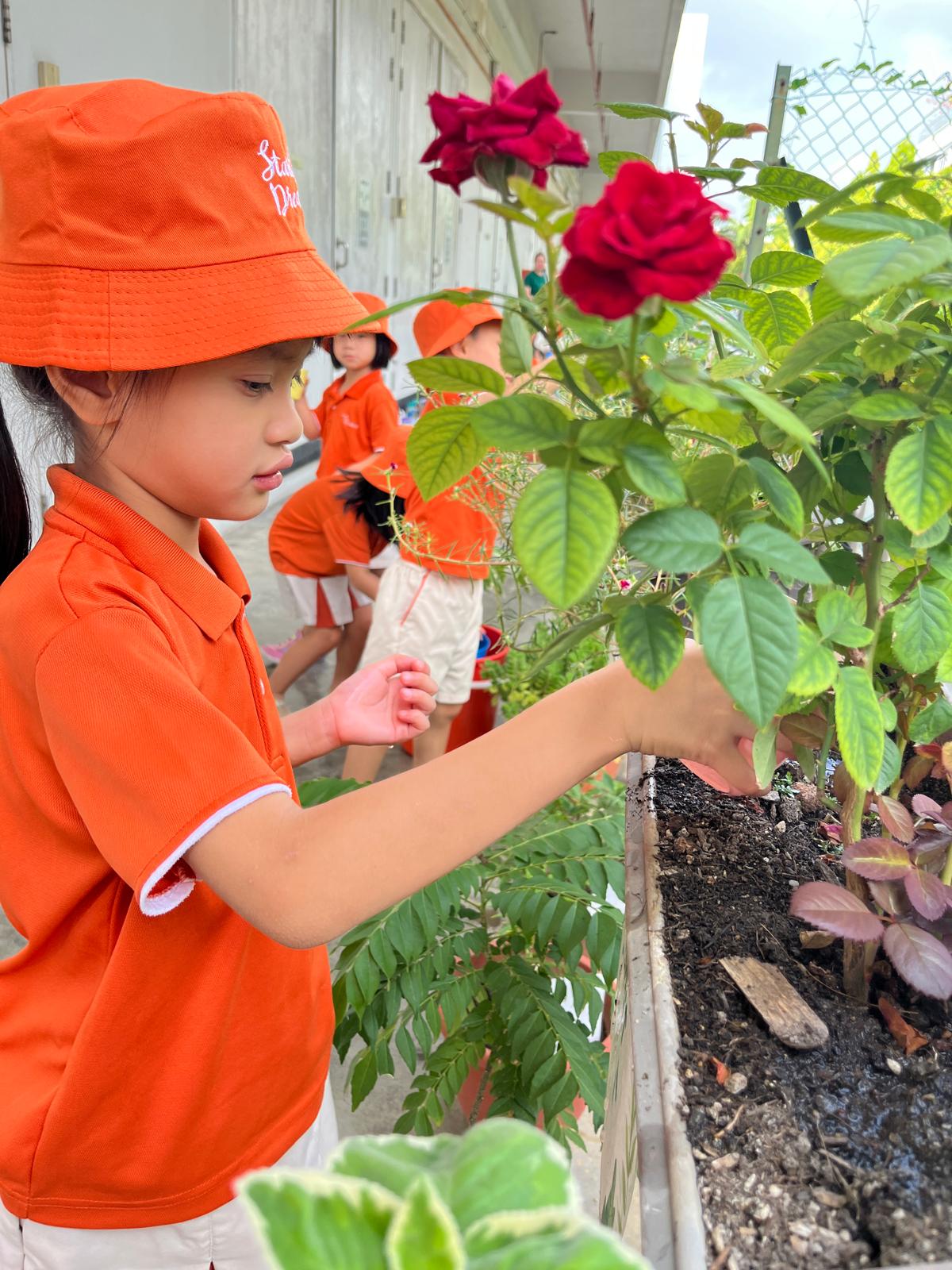 K2 Gardening Activity — photo 2