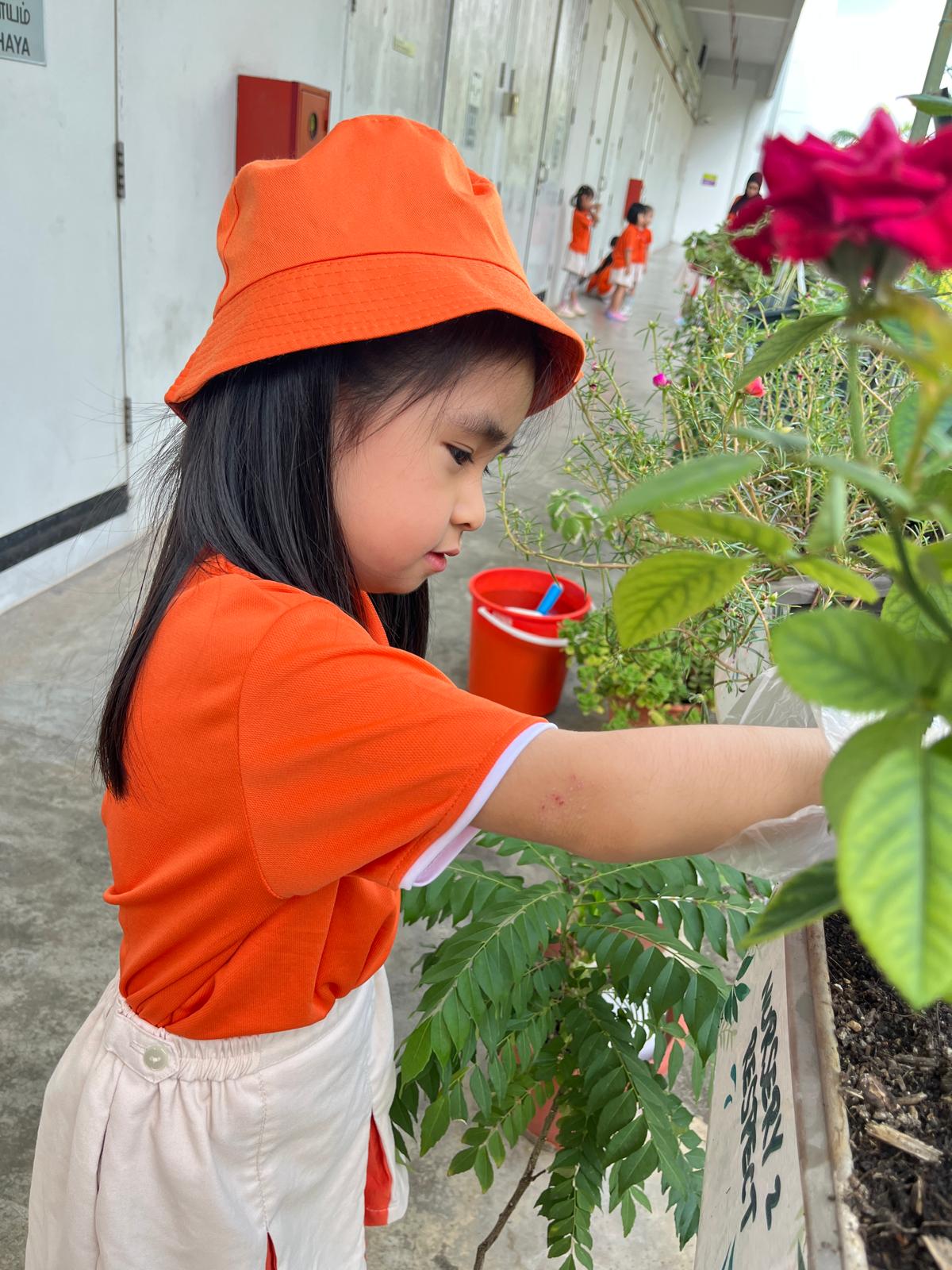 K2 Gardening Activity — photo 3