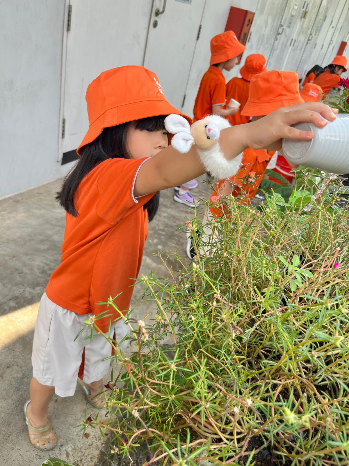 K2 Gardening Activity — photo 4