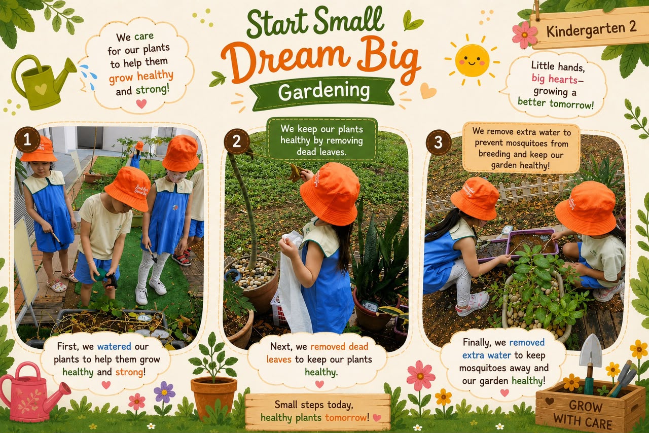 Start Small Dream Big (SSDB) 2026: Gardening Project