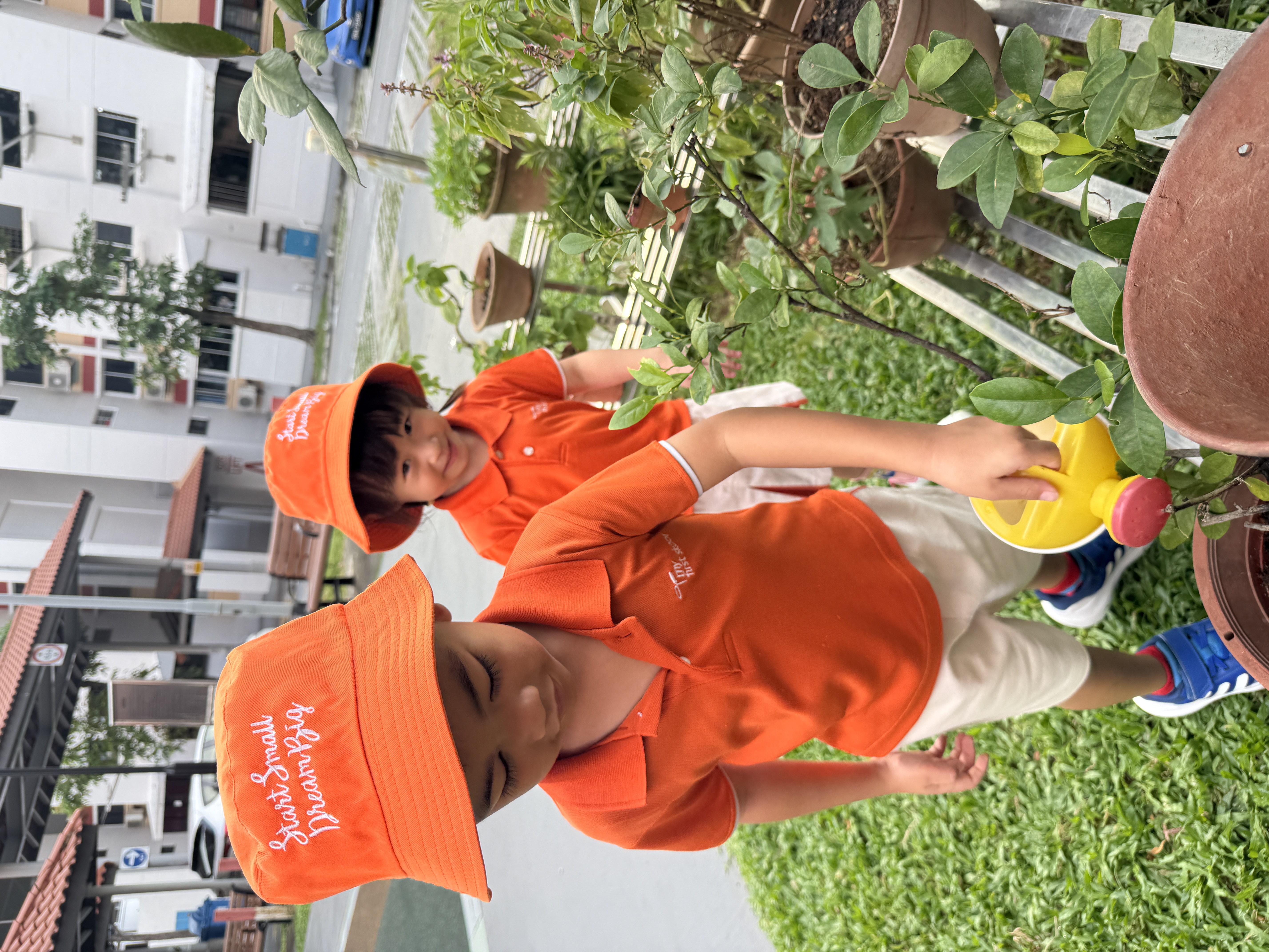 Caring for our Community Garden — photo 4