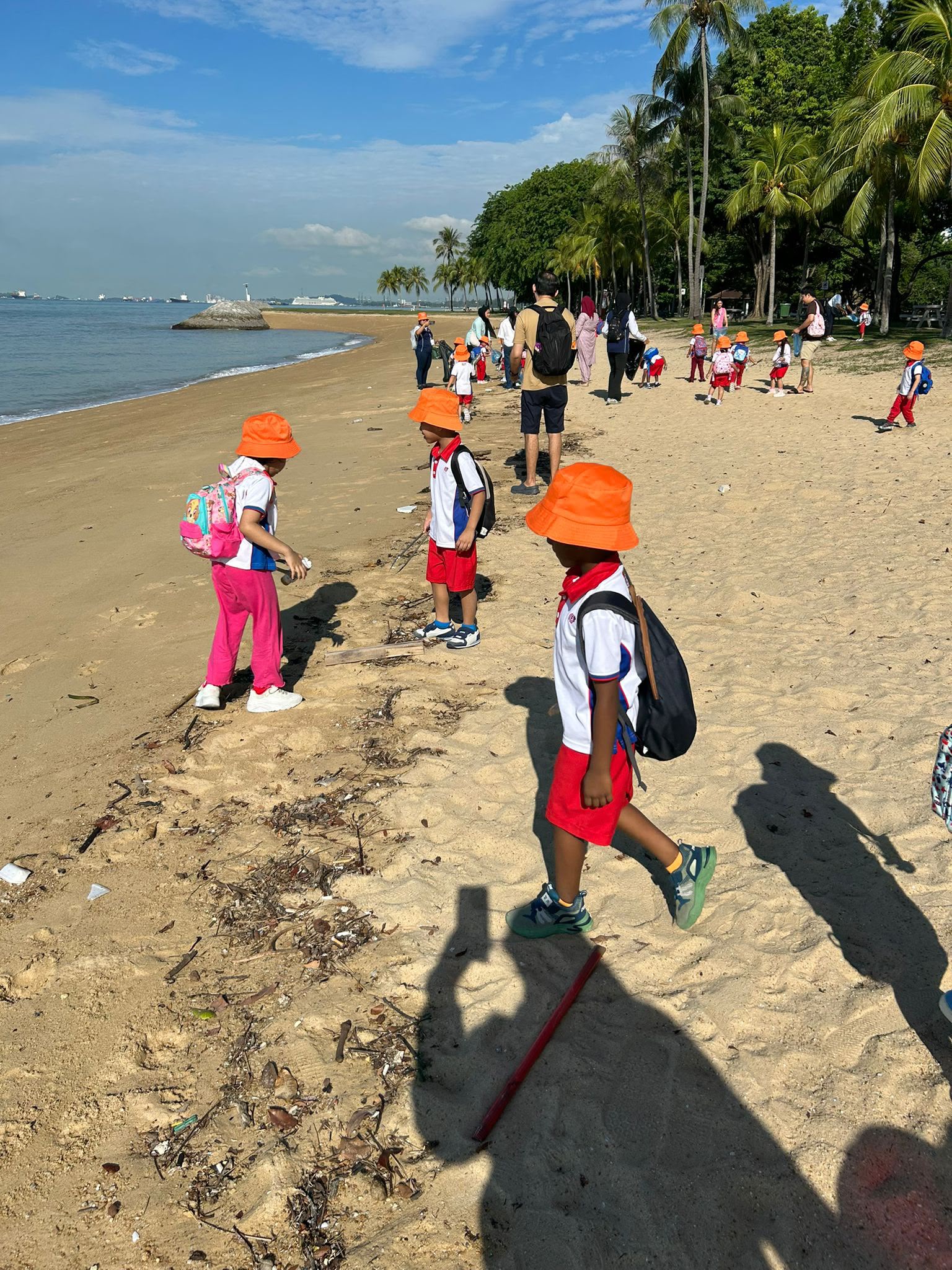 Caring for our Beautiful Beach — photo 5