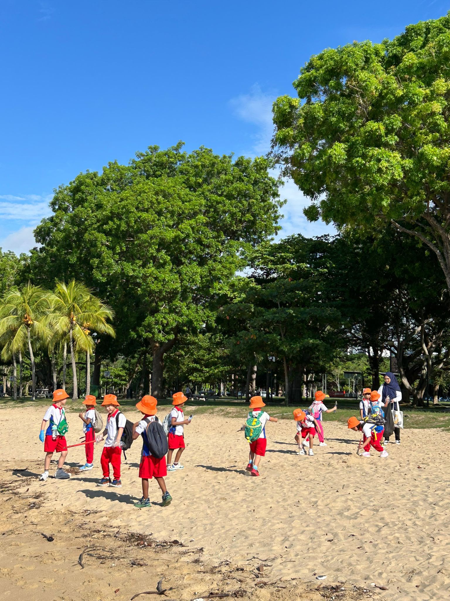 Caring for our Beautiful Beach — photo 6