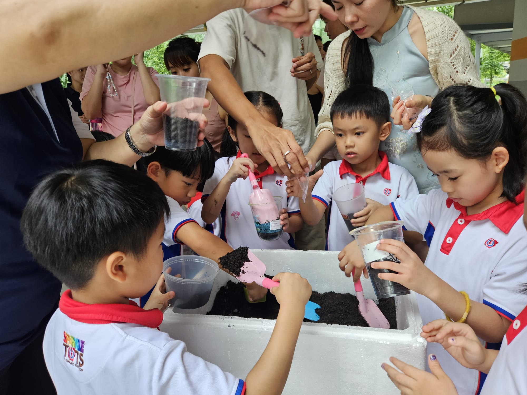 SSDB Parents Workshop - Using Recycled Items and Food Waste to Grow vegetables (Xiao Bai Cai) — photo 3