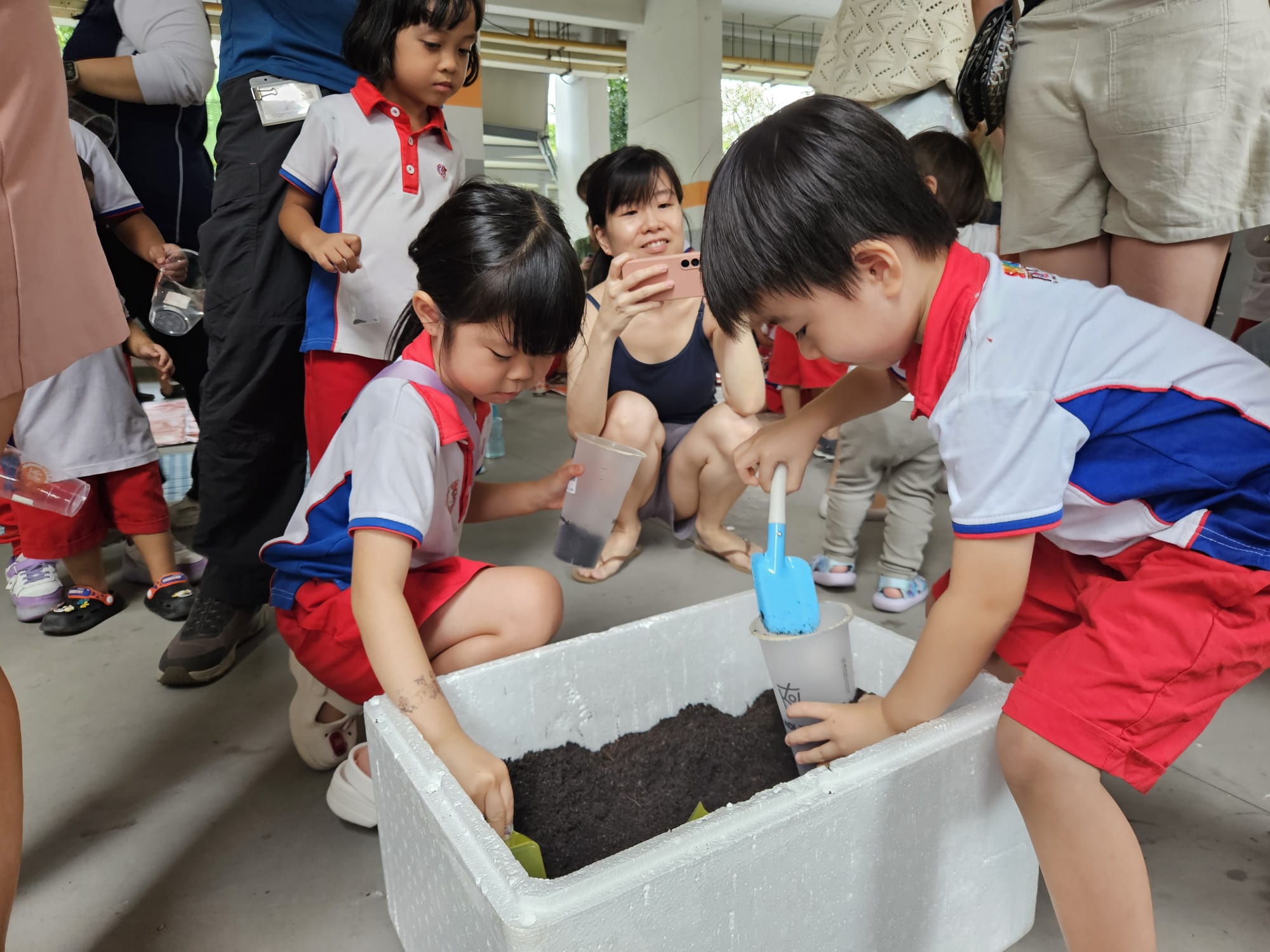 SSDB Parents Workshop - Using Recycled Items and Food Waste to Grow vegetables (Xiao Bai Cai) — photo 4