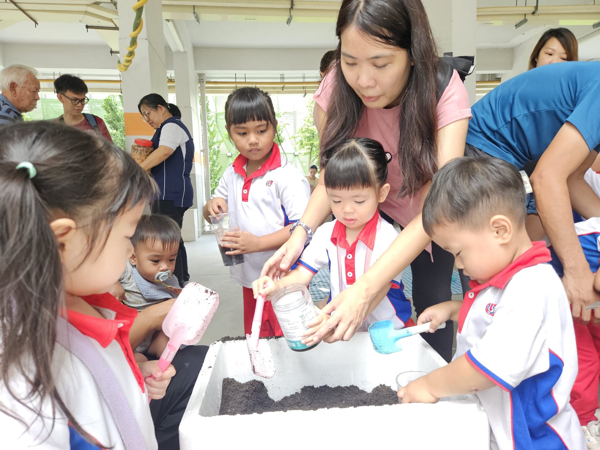 SSDB Parents Workshop - Using Recycled Items and Food Waste to Grow vegetables (Xiao Bai Cai) — photo 5