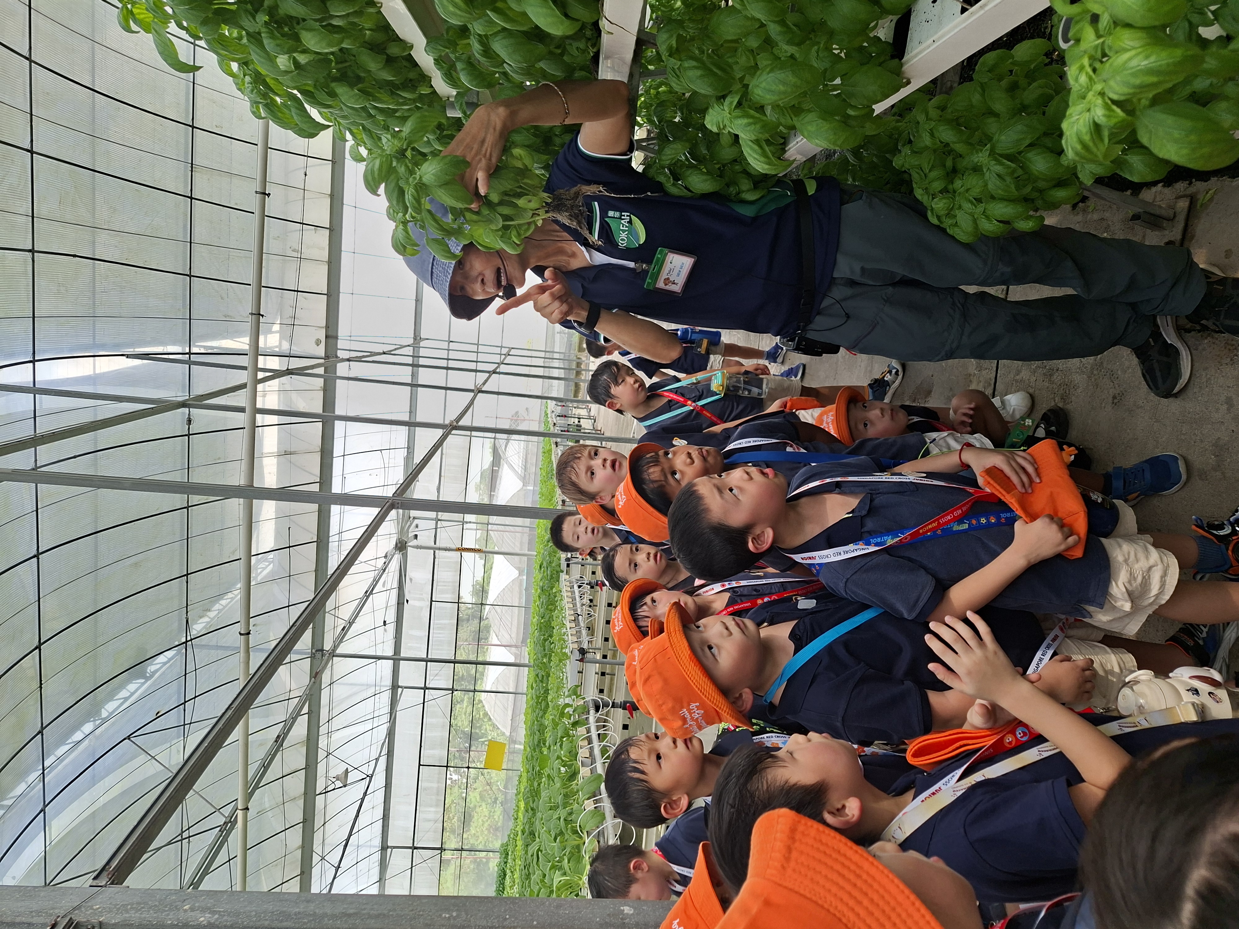 Learning Adventure to Kok Fah Tech Farm — photo 6