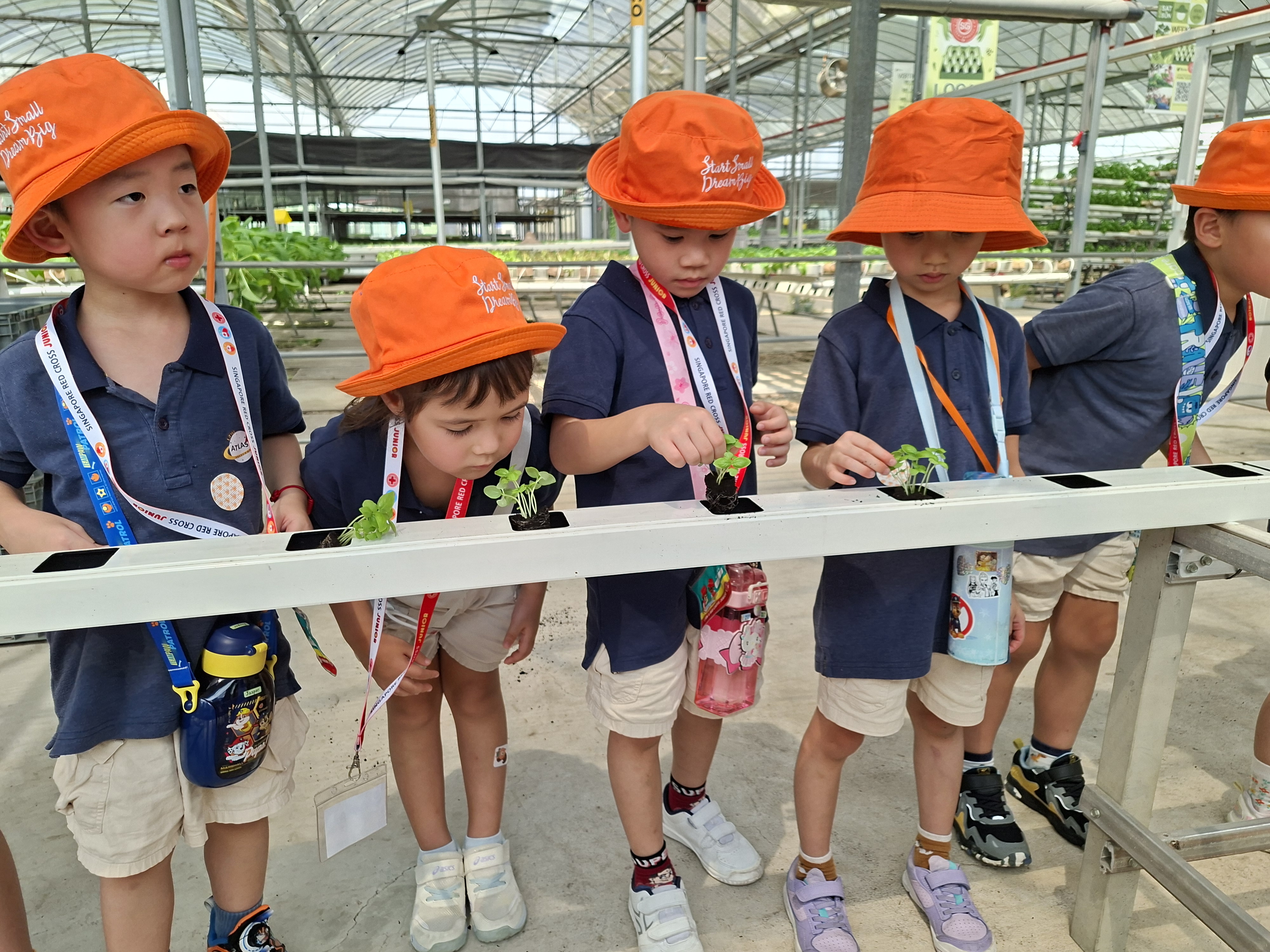 Learning Adventure to Kok Fah Tech Farm — photo 9