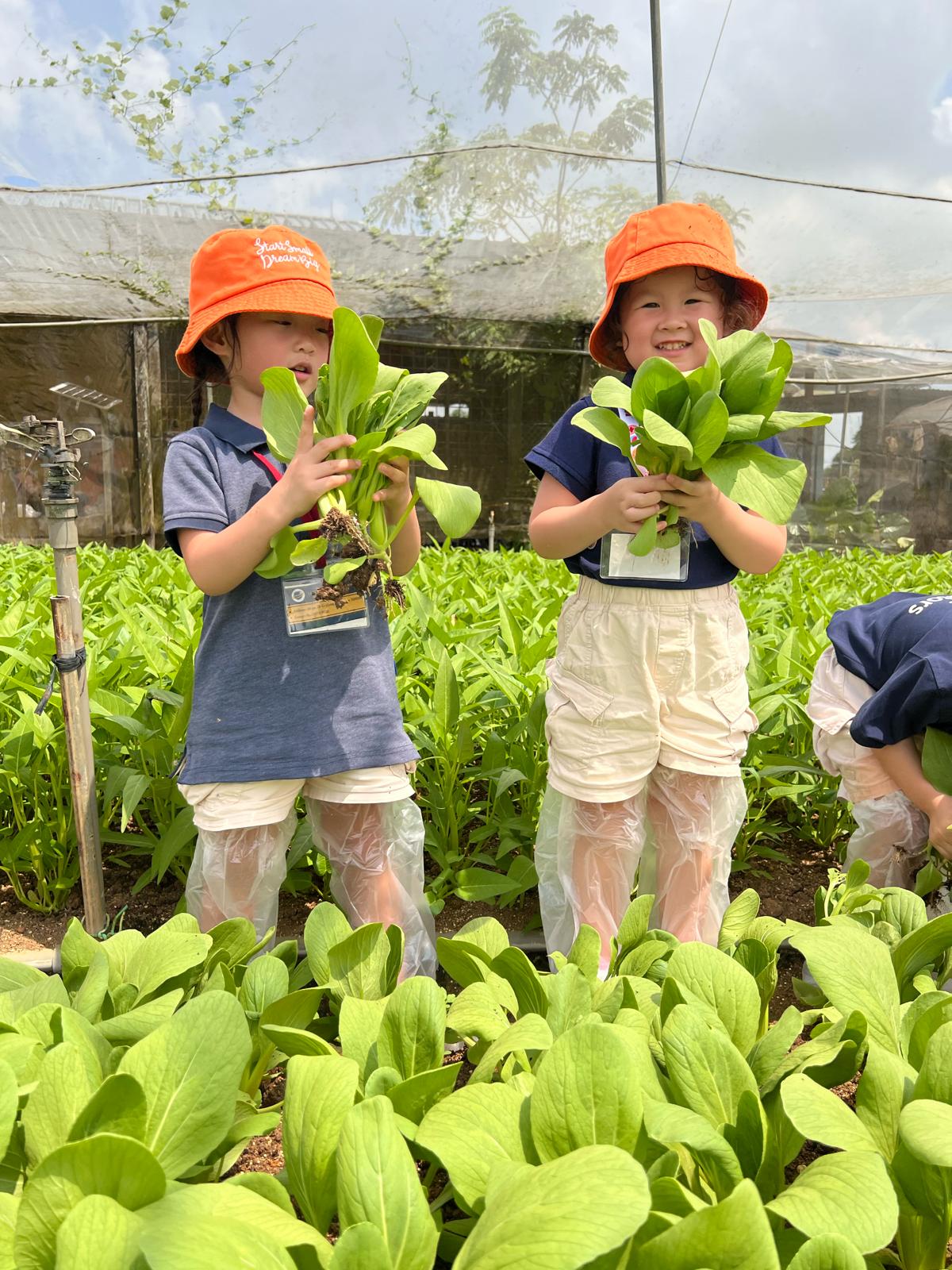 Learning Adventure to Kok Fah Tech Farm — photo 10