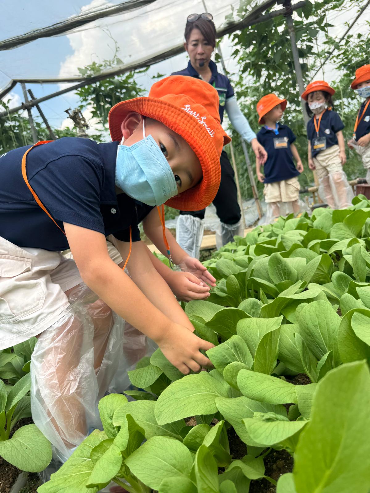 Learning Adventure to Kok Fah Tech Farm — photo 12