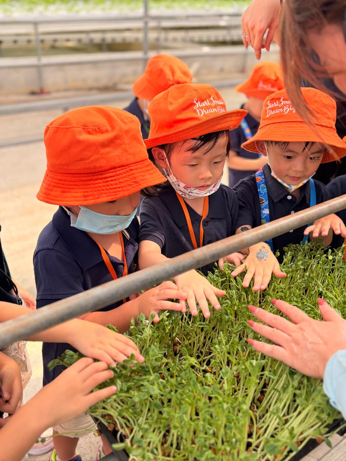 Learning Adventure to Kok Fah Tech Farm — photo 13