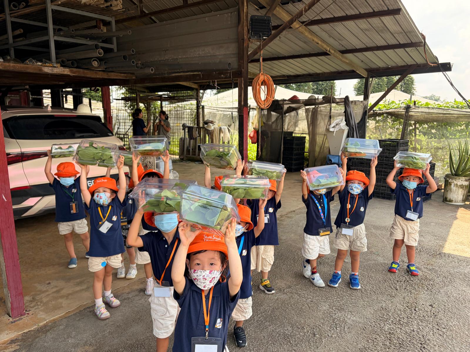 Learning Adventure to Kok Fah Tech Farm — photo 14