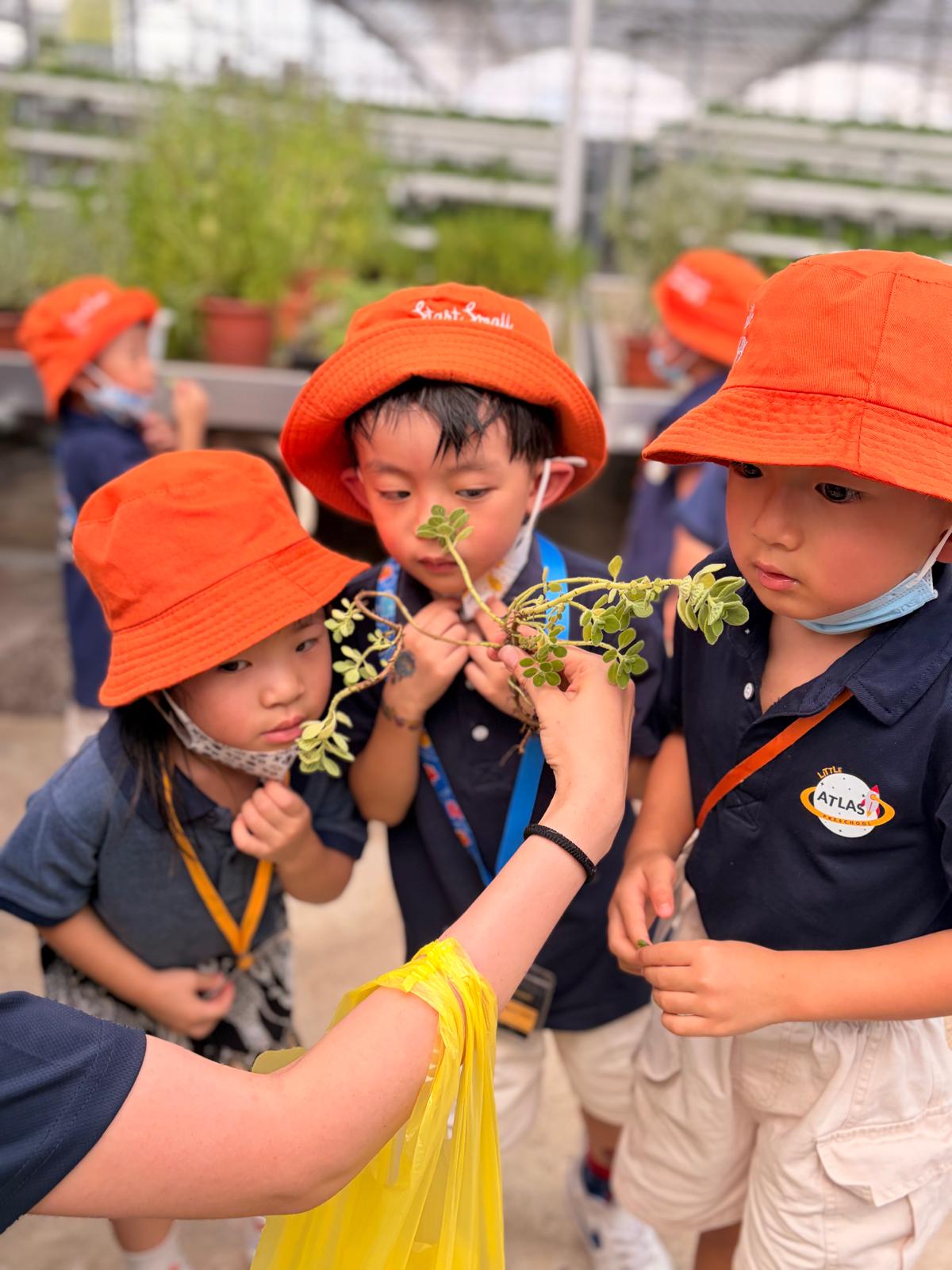Learning Adventure to Kok Fah Tech Farm — photo 16