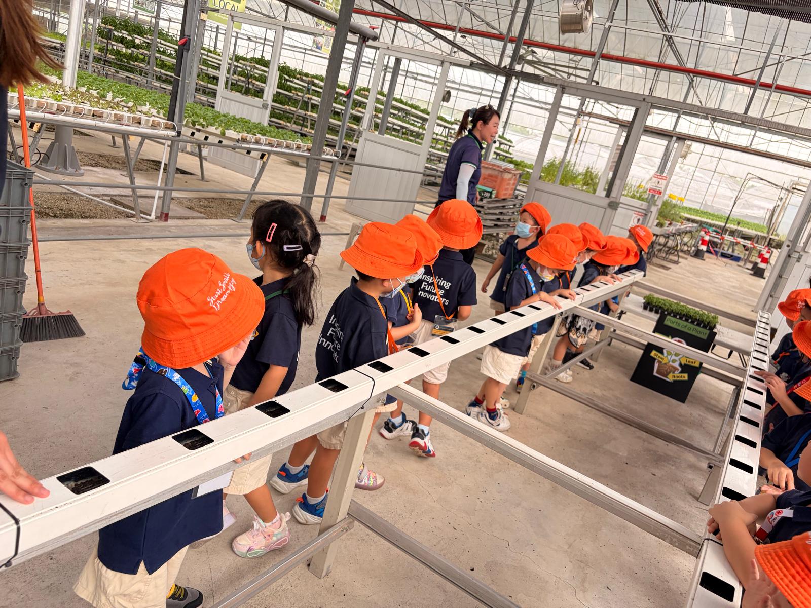 Learning Adventure to Kok Fah Tech Farm — photo 17