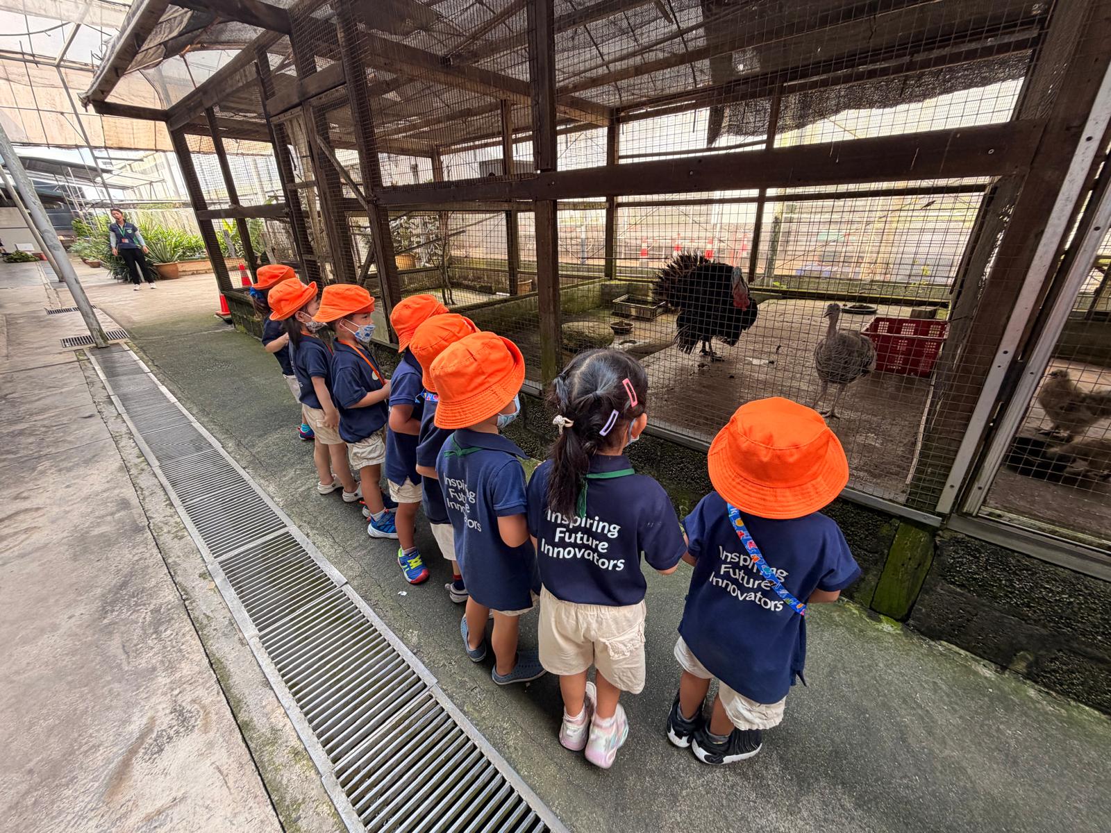 Learning Adventure to Kok Fah Tech Farm — photo 18