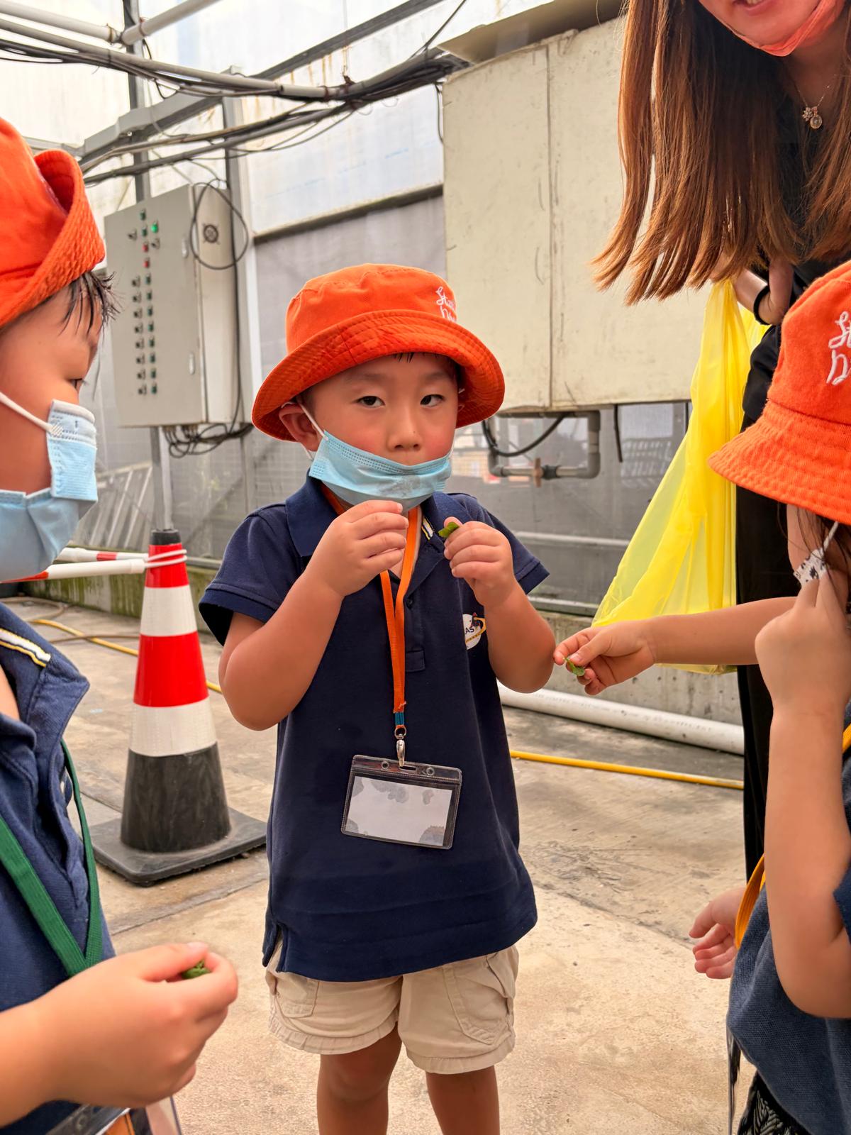 Learning Adventure to Kok Fah Tech Farm — photo 19