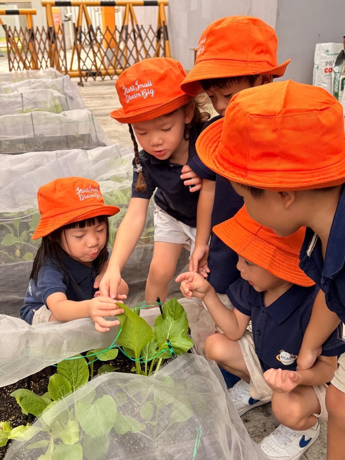 Observing and Recording: Our Food Sustainability Journey — photo 3