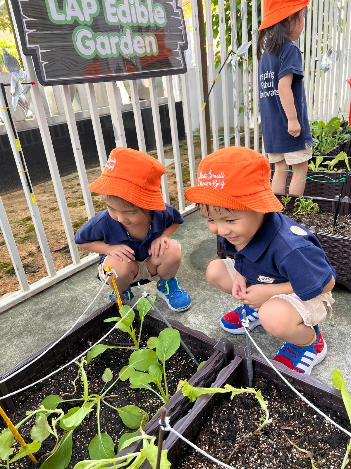 Observing and Recording: Our Food Sustainability Journey — photo 4