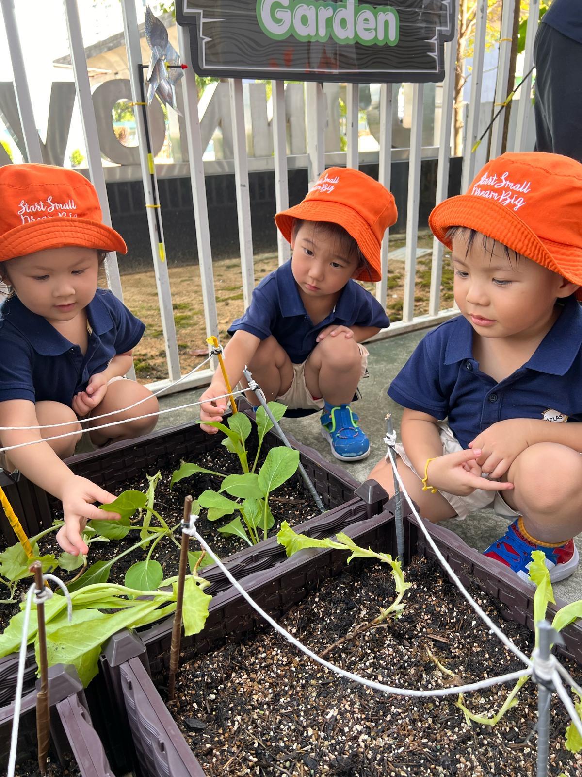 Observing and Recording: Our Food Sustainability Journey — photo 9