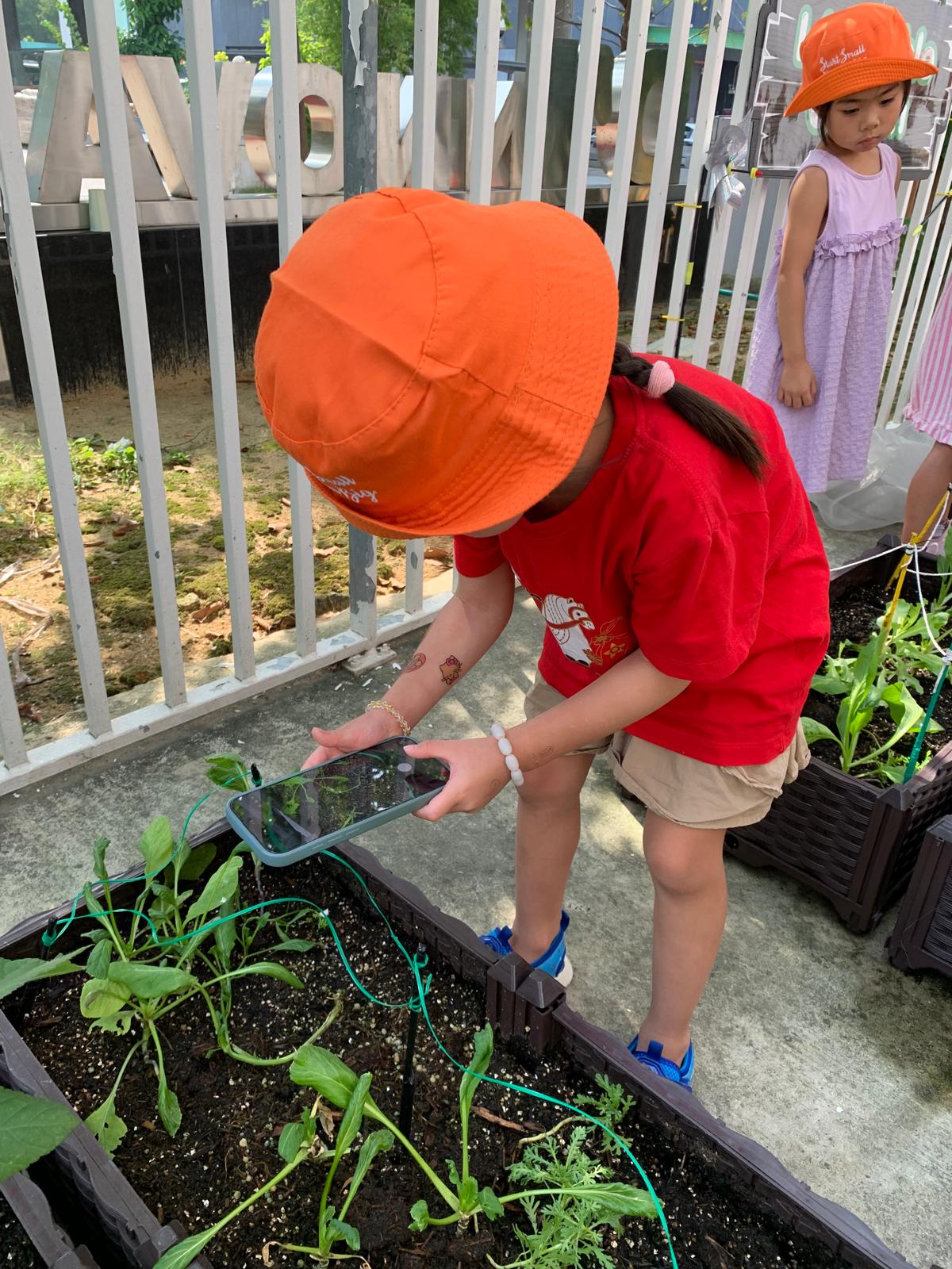 Observing and Recording: Our Food Sustainability Journey — photo 2