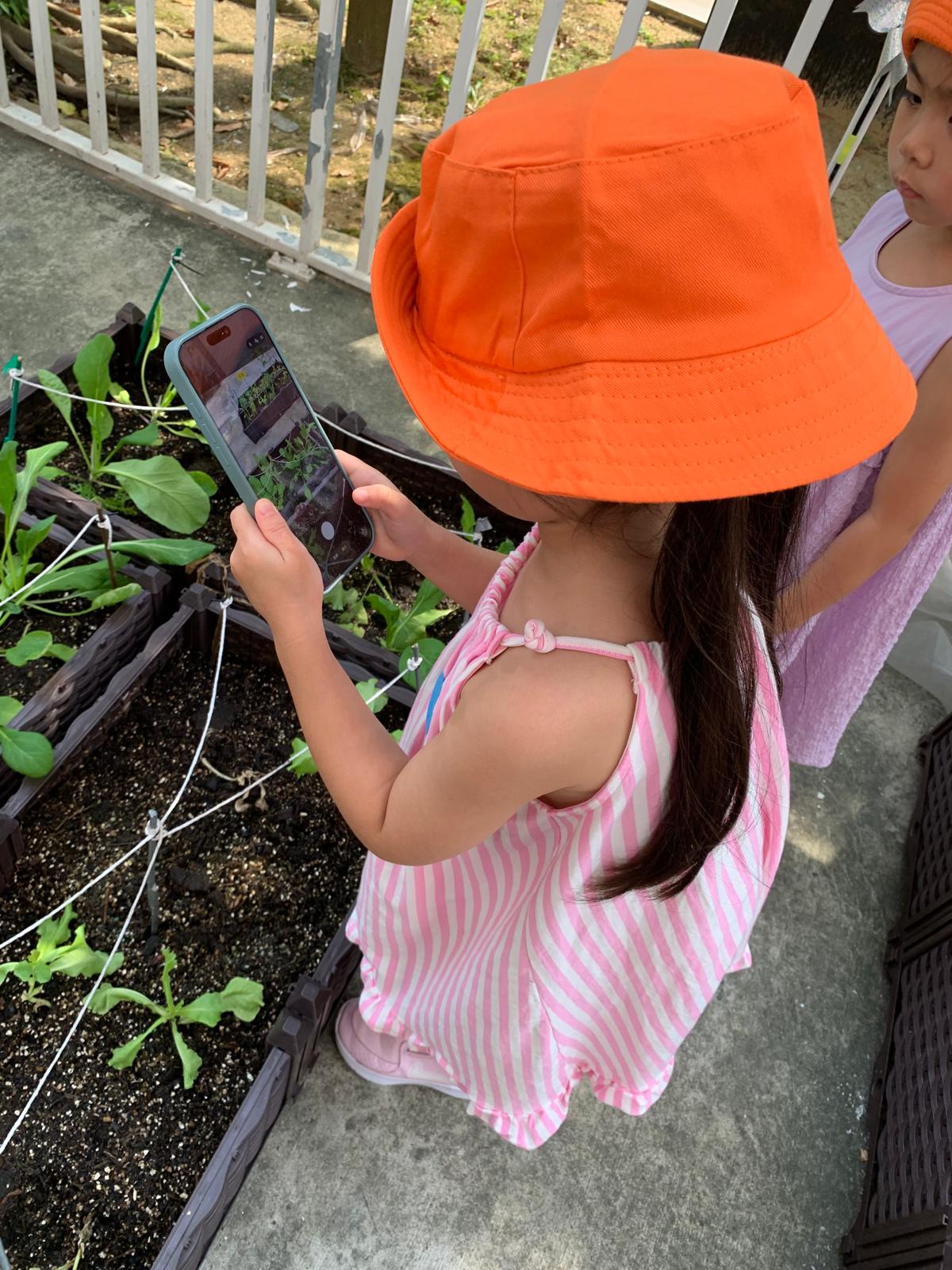 Observing and Recording: Our Food Sustainability Journey — photo 3
