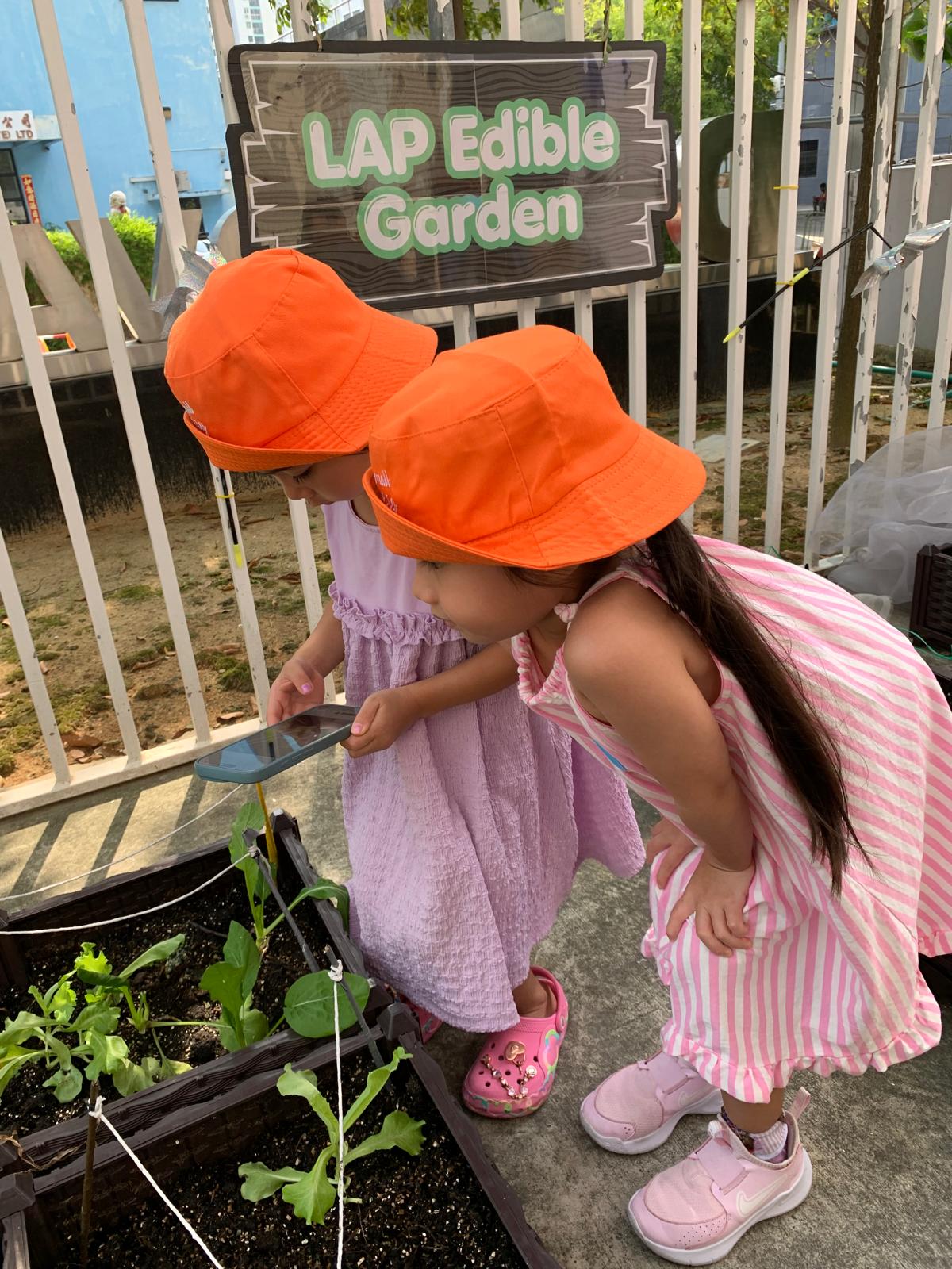 Observing and Recording: Our Food Sustainability Journey — photo 4