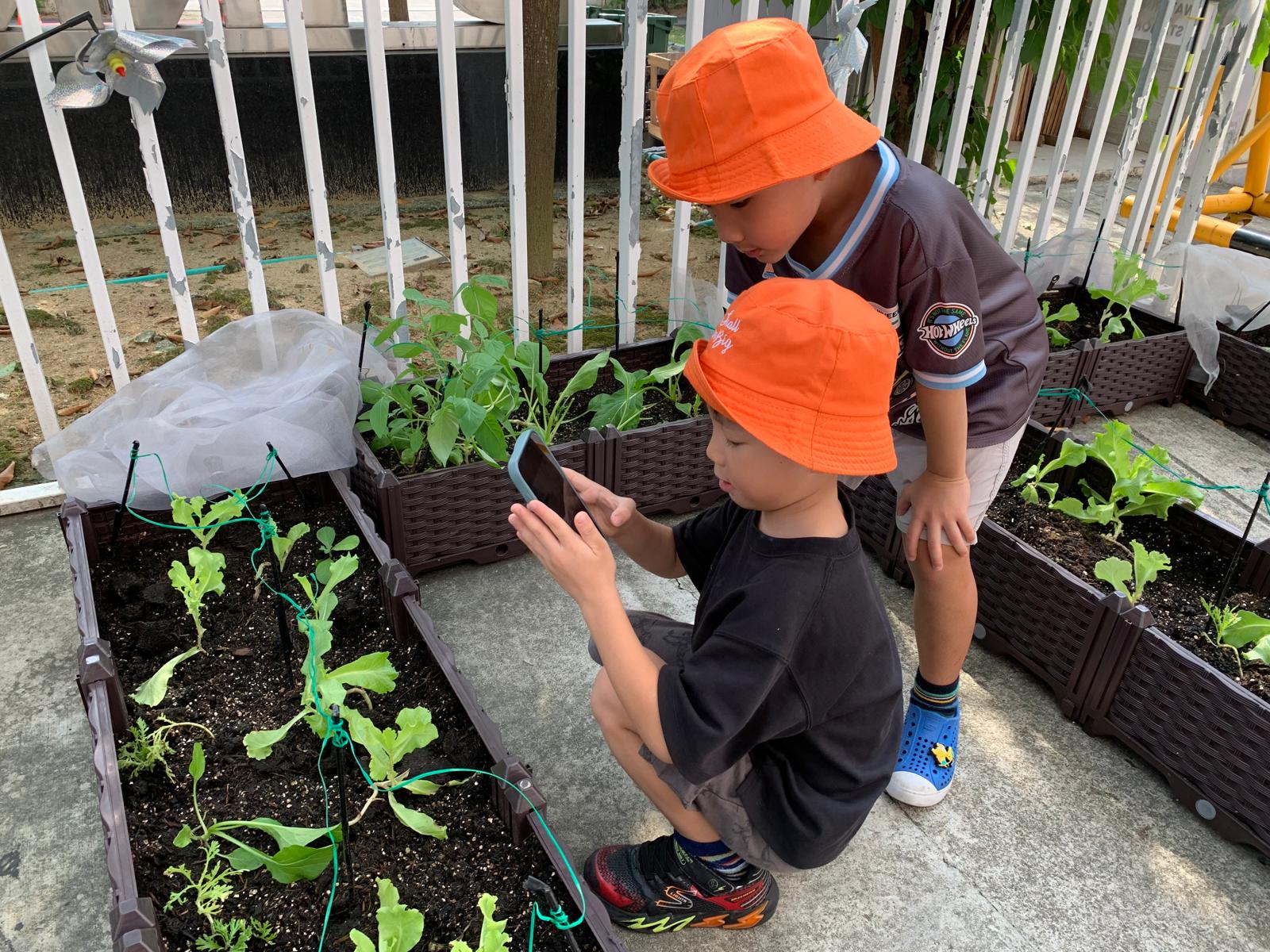 Observing and Recording: Our Food Sustainability Journey — photo 8