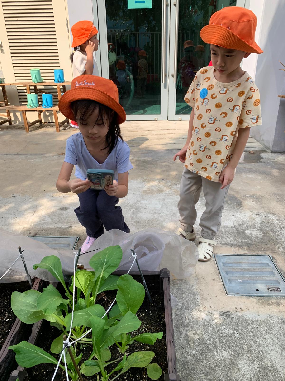 Observing and Recording: Our Food Sustainability Journey — photo 16