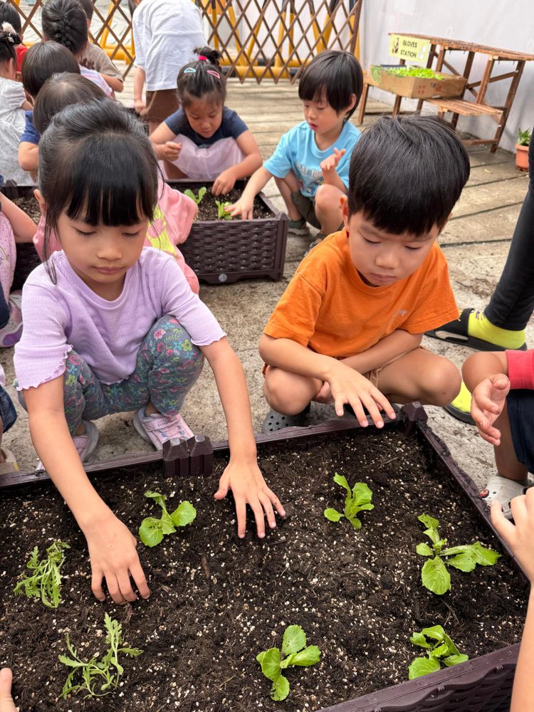 Observing and Recording: Our Food Sustainability Journey — photo 10