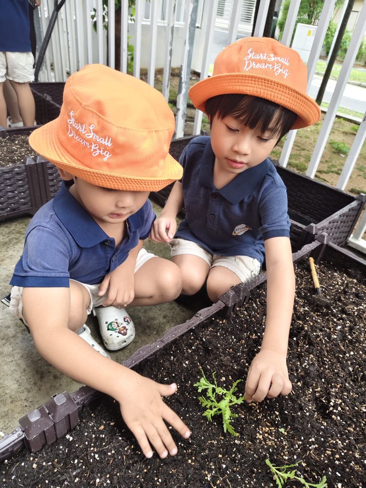 Observing and Recording: Our Food Sustainability Journey — photo 11
