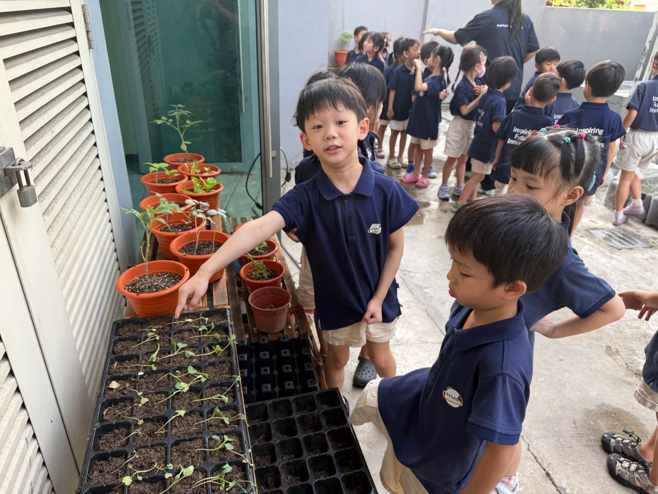 Observing and Recording: Our Food Sustainability Journey — photo 12