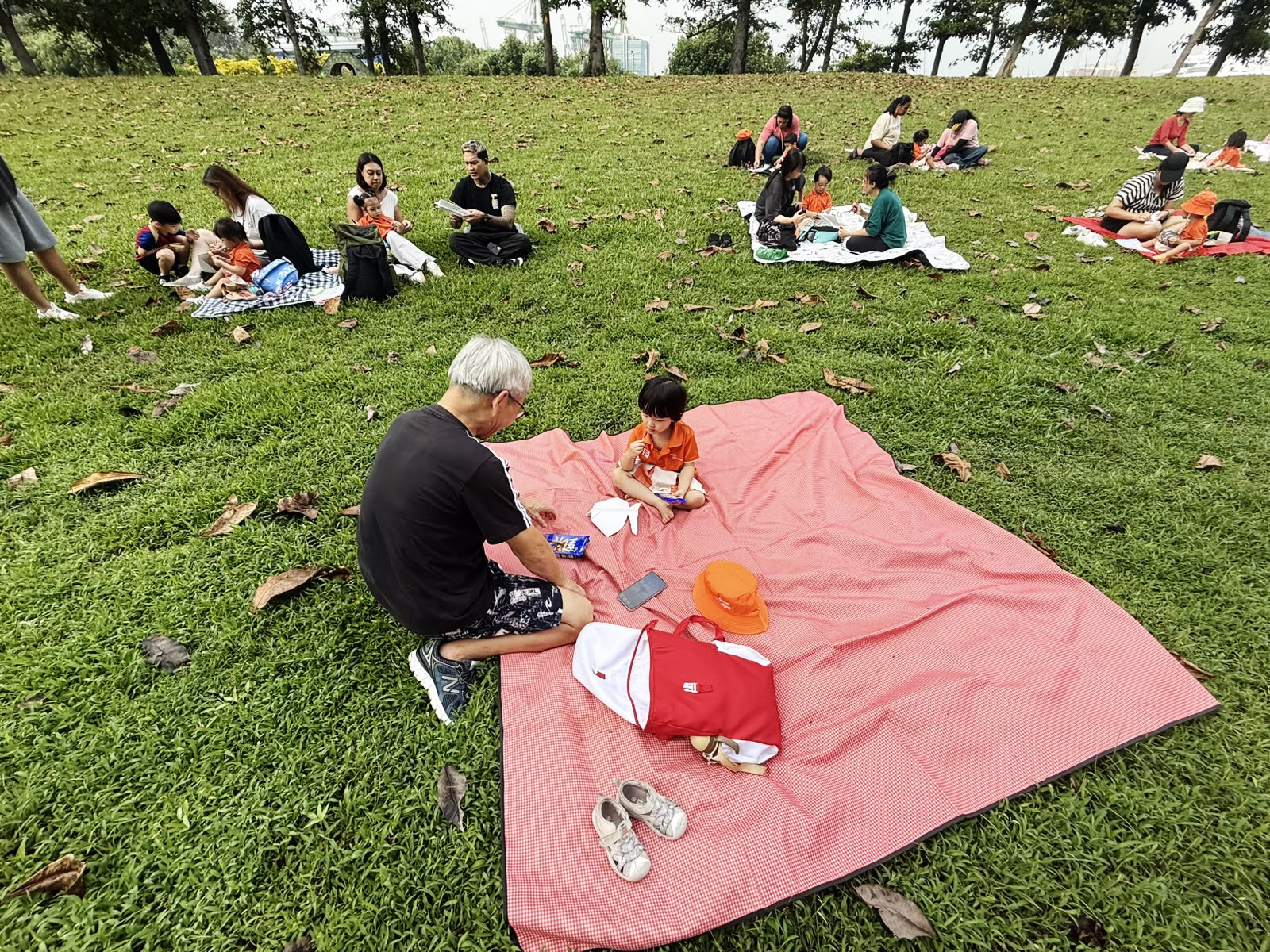 Caring for Families and Friends at West Coast Park — photo 2