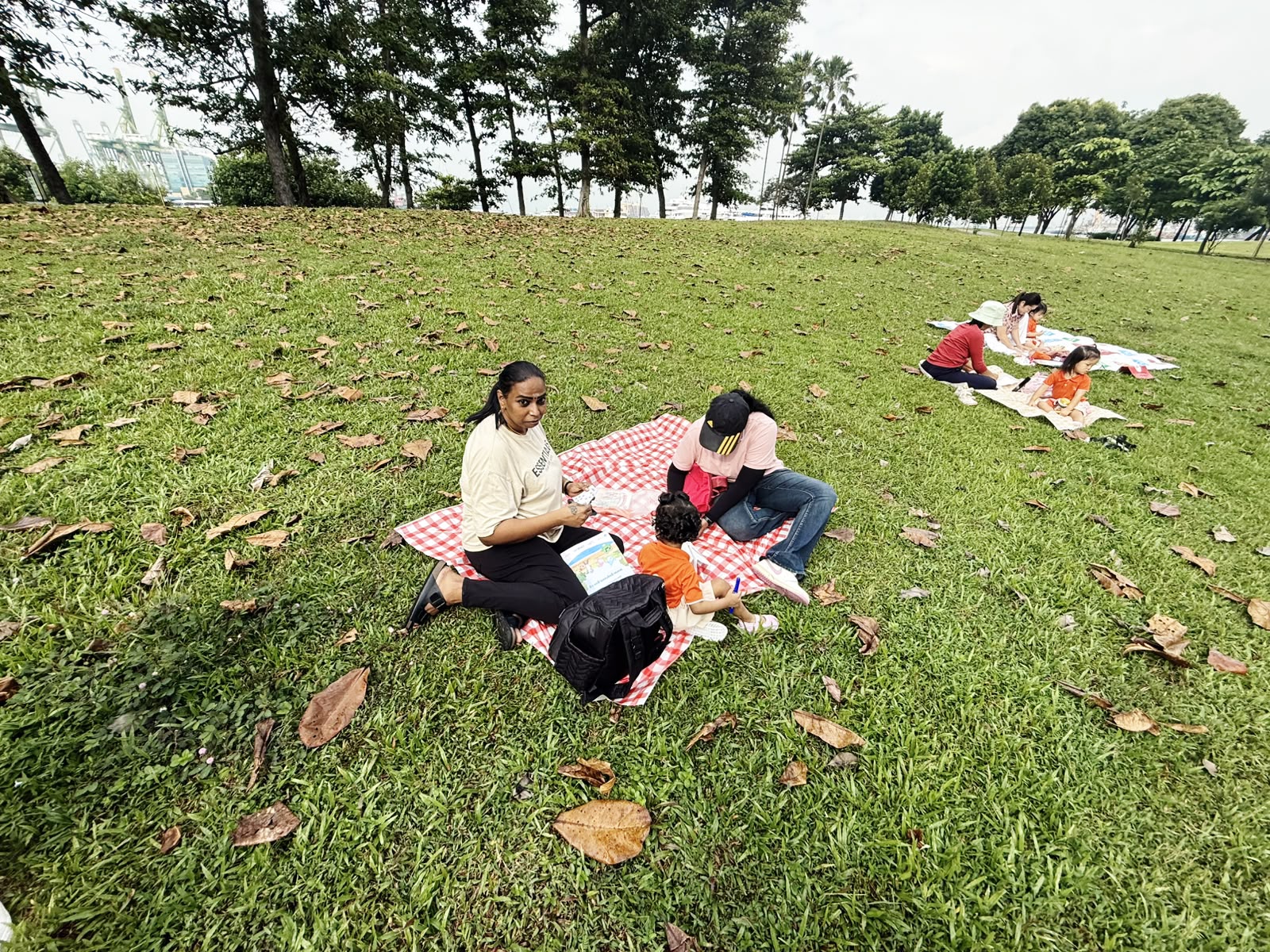 Caring for Families and Friends at West Coast Park — photo 3